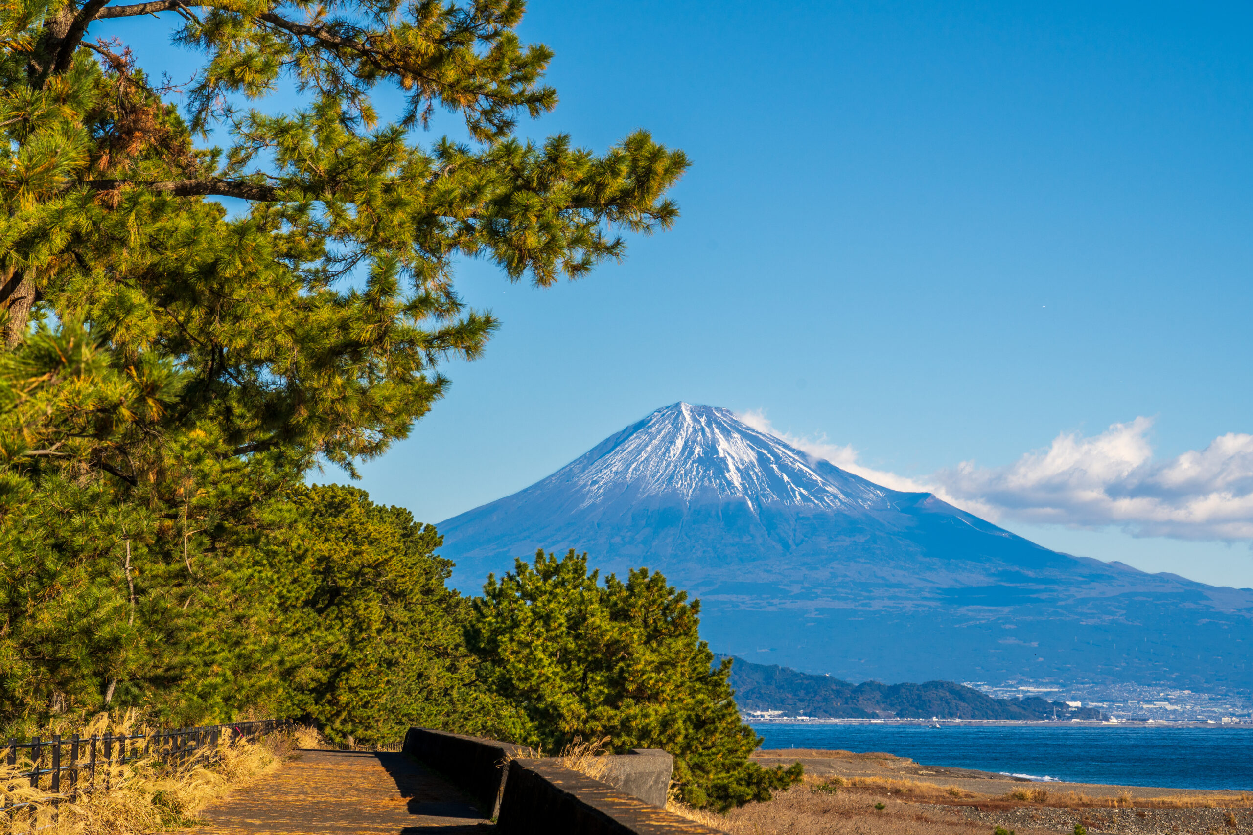 Path lined with a wooden fence and evergreen trees leading toward a distant snow-capped mountain under a clear blue sky