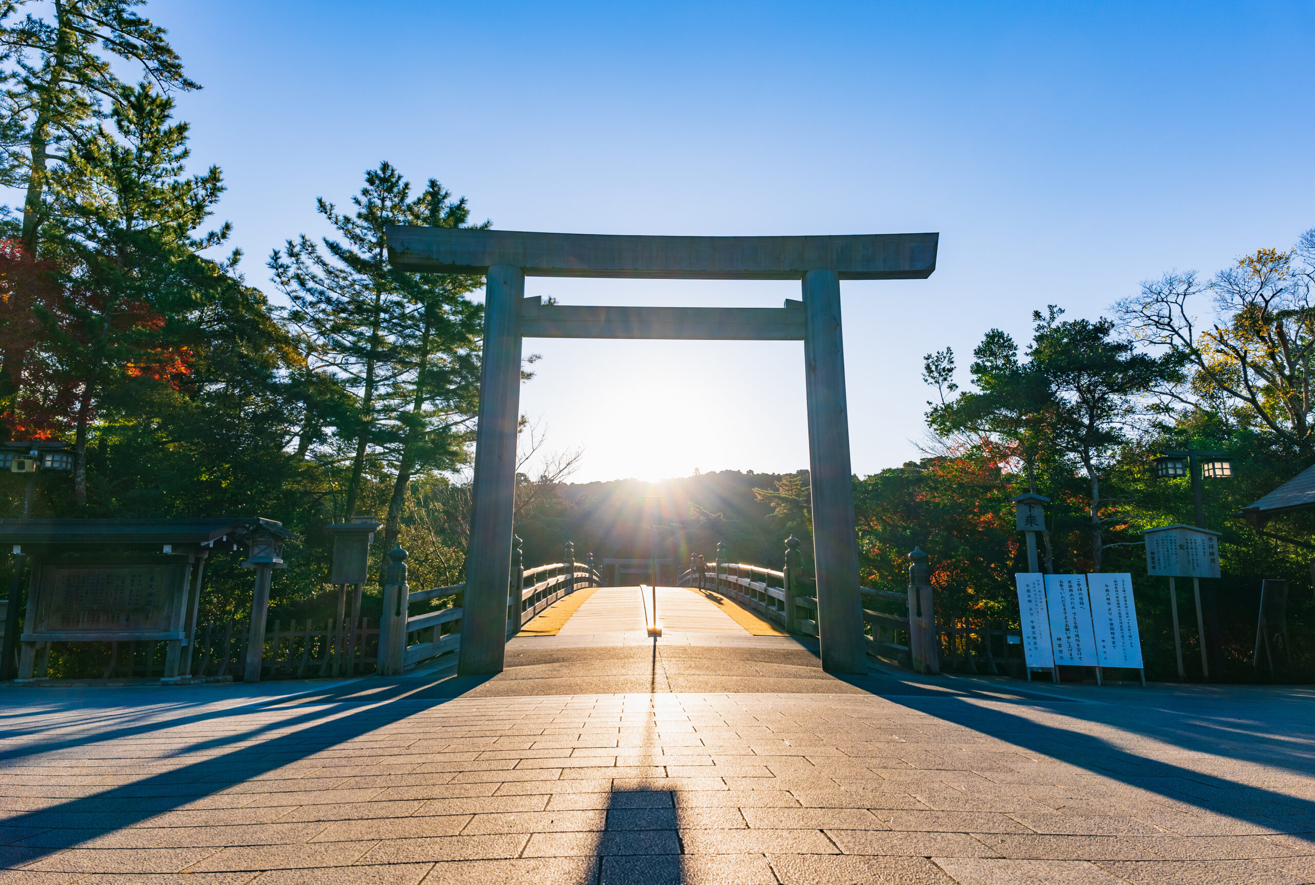 Wooden torii gate over a sunlit stone path at a Shinto shrine, surrounded by trees on both sides.