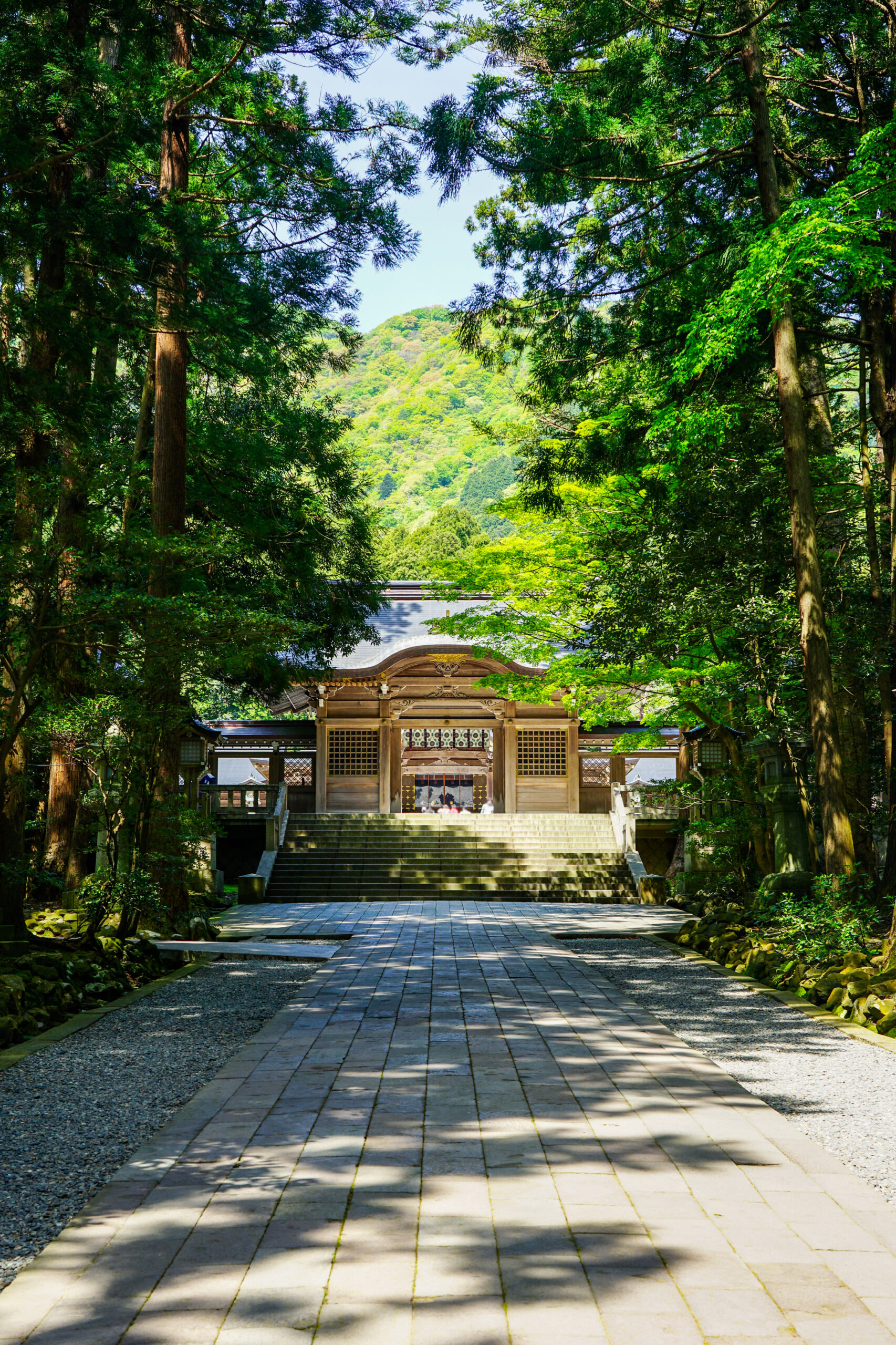 Stone steps leading to a traditional wooden shrine framed by tall evergreen trees in a lush forest setting.