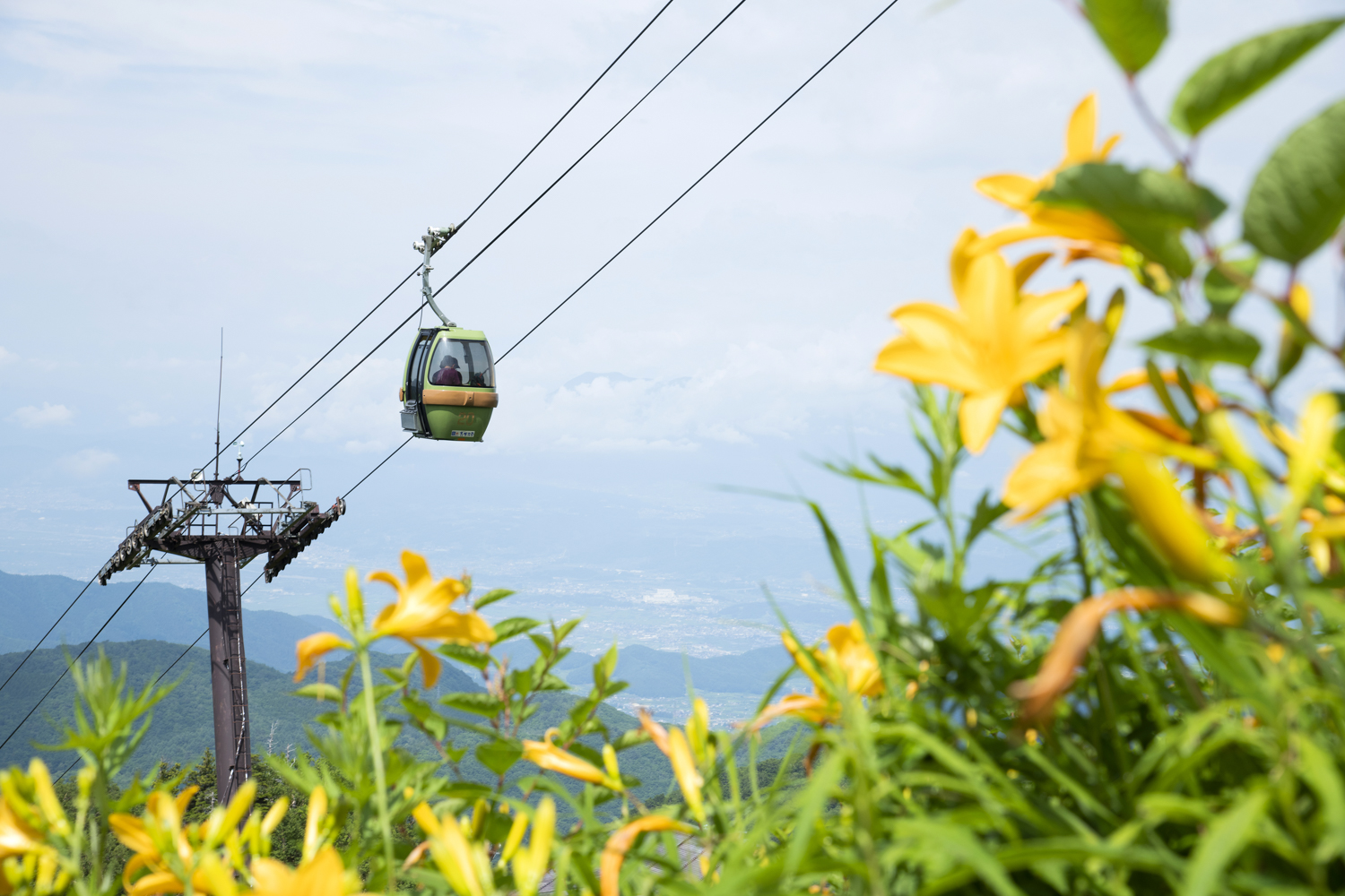 Green gondola cabin of a mountain cable car gliding along its cables, with yellow flowers in the foreground and a valley below.