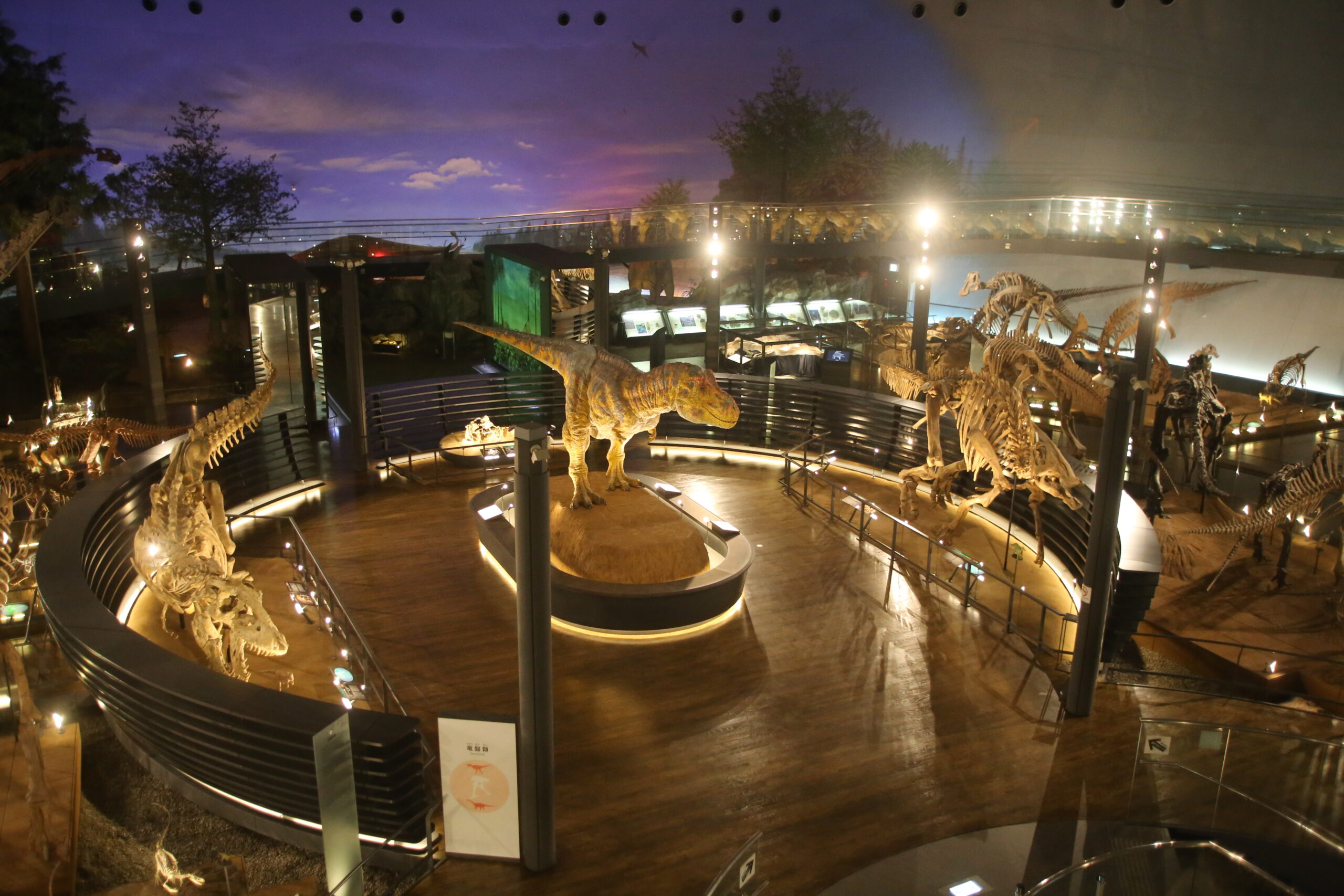 Museum dinosaur fossil hall with circular viewing platforms and life-size skeletons strung around a central display area.