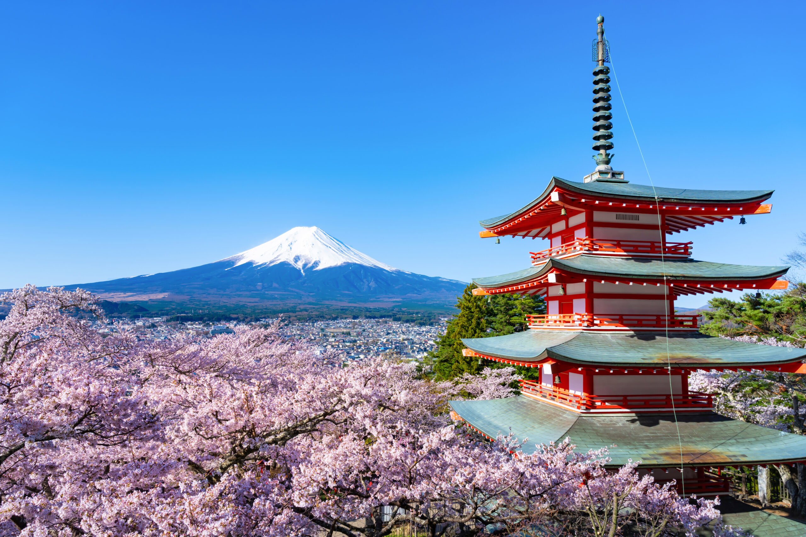 Red-and-white multi-tiered pagoda with a spire, framed by pink cherry blossoms and Mount Fuji in the background.