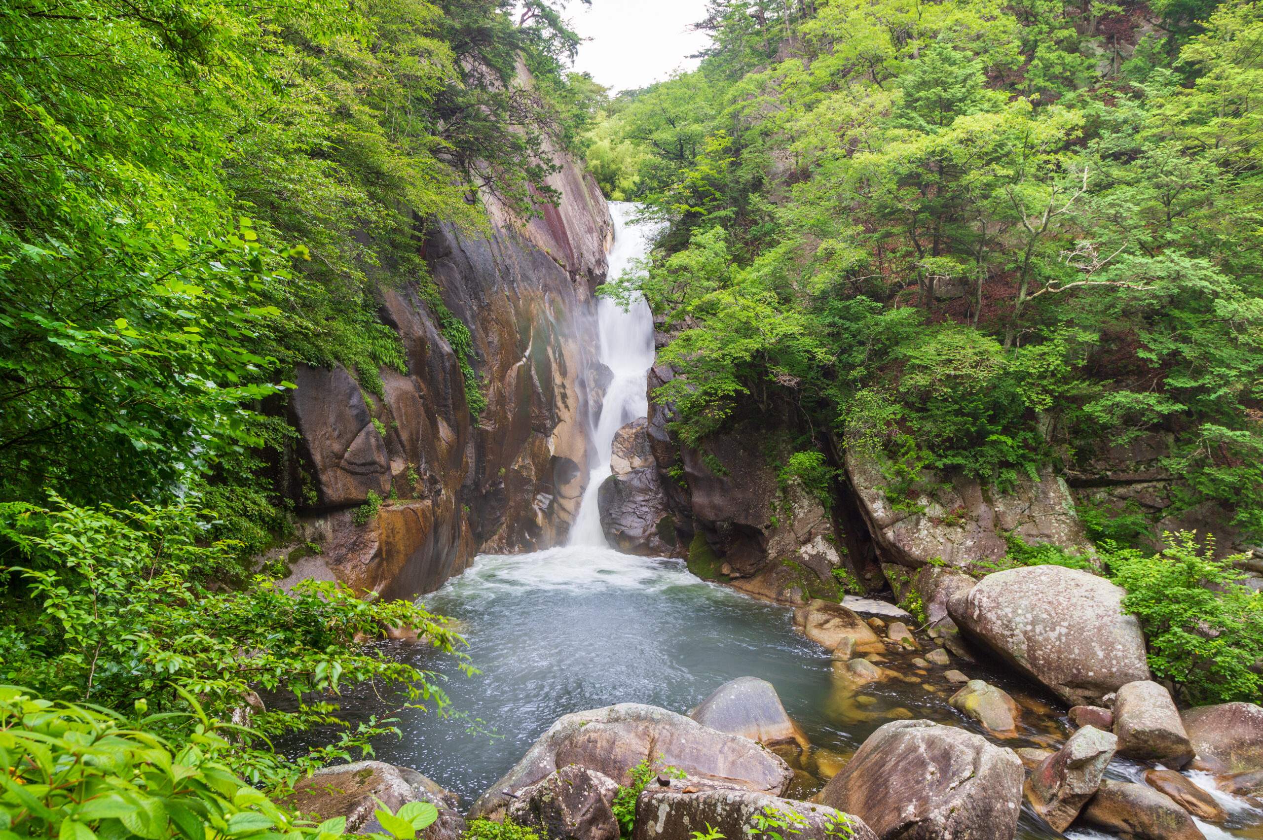 Waterfall cascading between large smooth rocks in a dense green forest gorge.