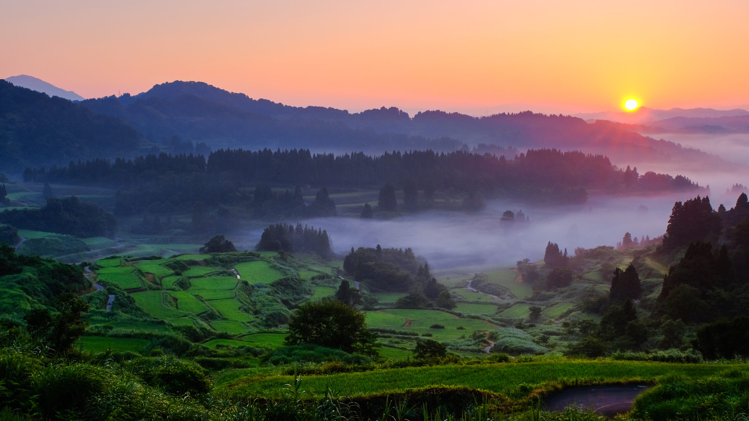 Sunrise over a misty valley with terraced green fields and forested hills.