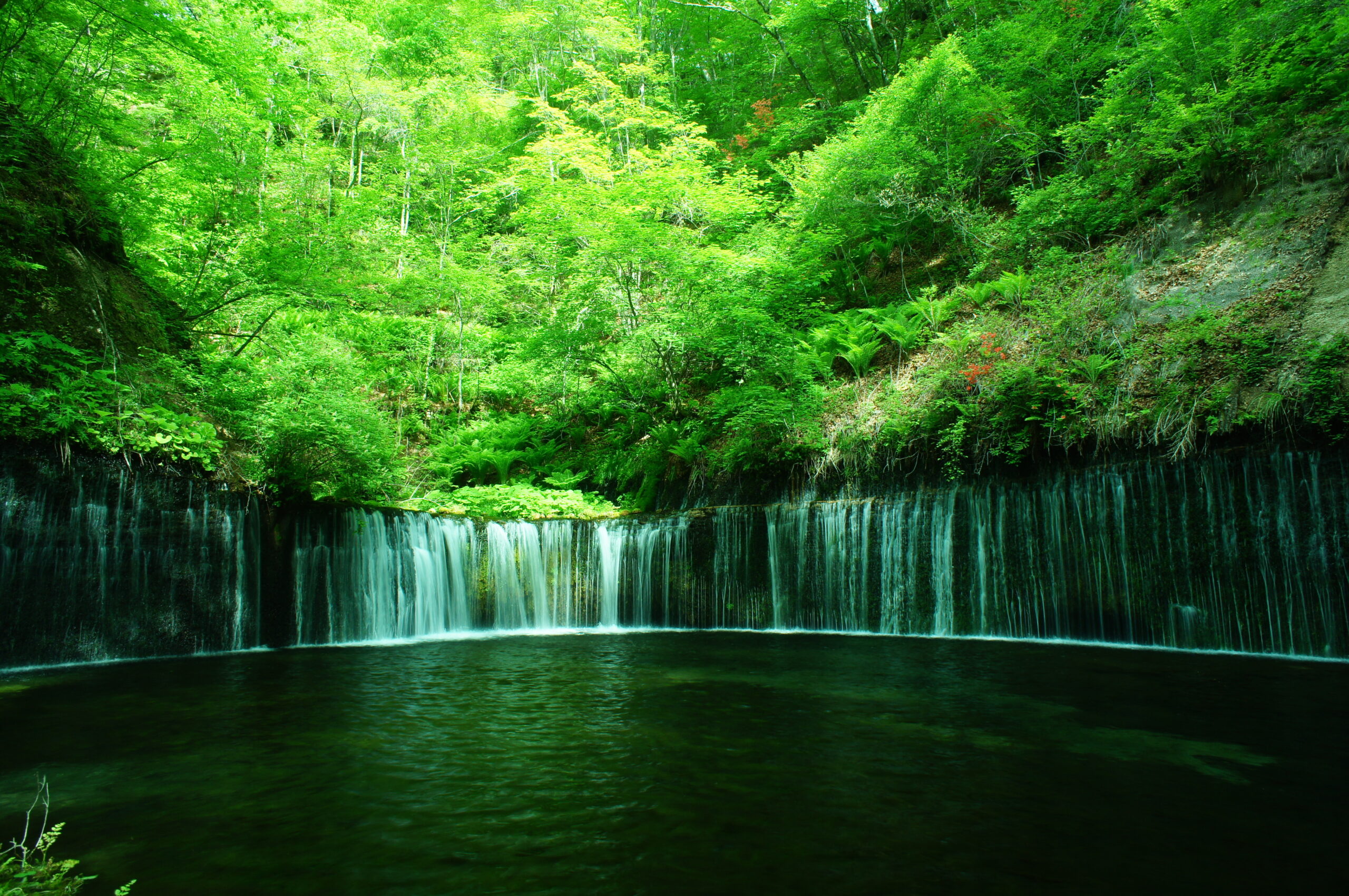Lush green forest overlooks a narrow waterfall spilling over a rocky ledge into a dark pool below.