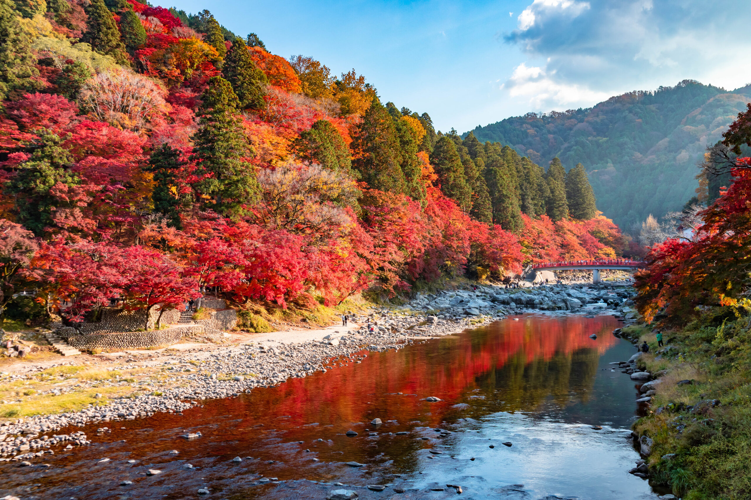 Autumn forest on a hillside beside a rocky river with red, orange, and yellow leaves and a distant bridge.