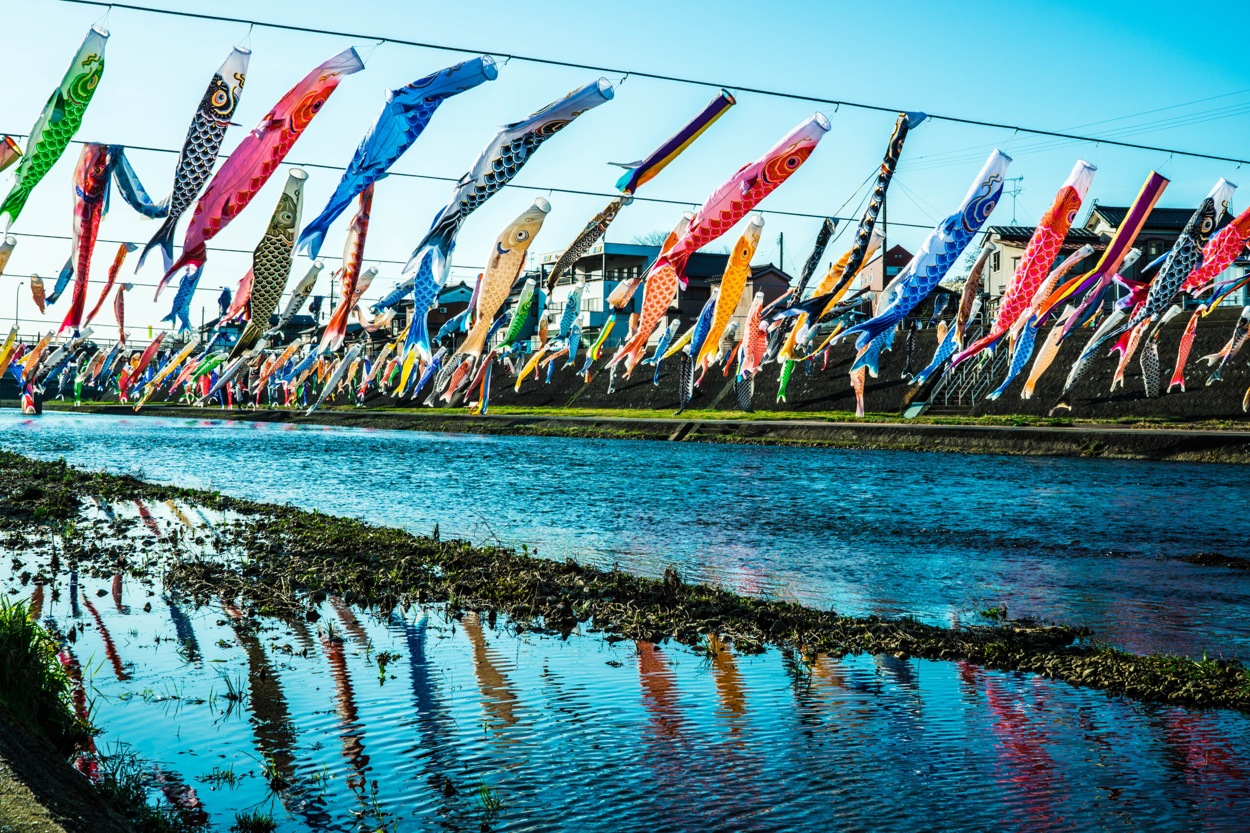 Row of colorful carp streamers (koinobori) hung over a river with reflections and houses in the background.