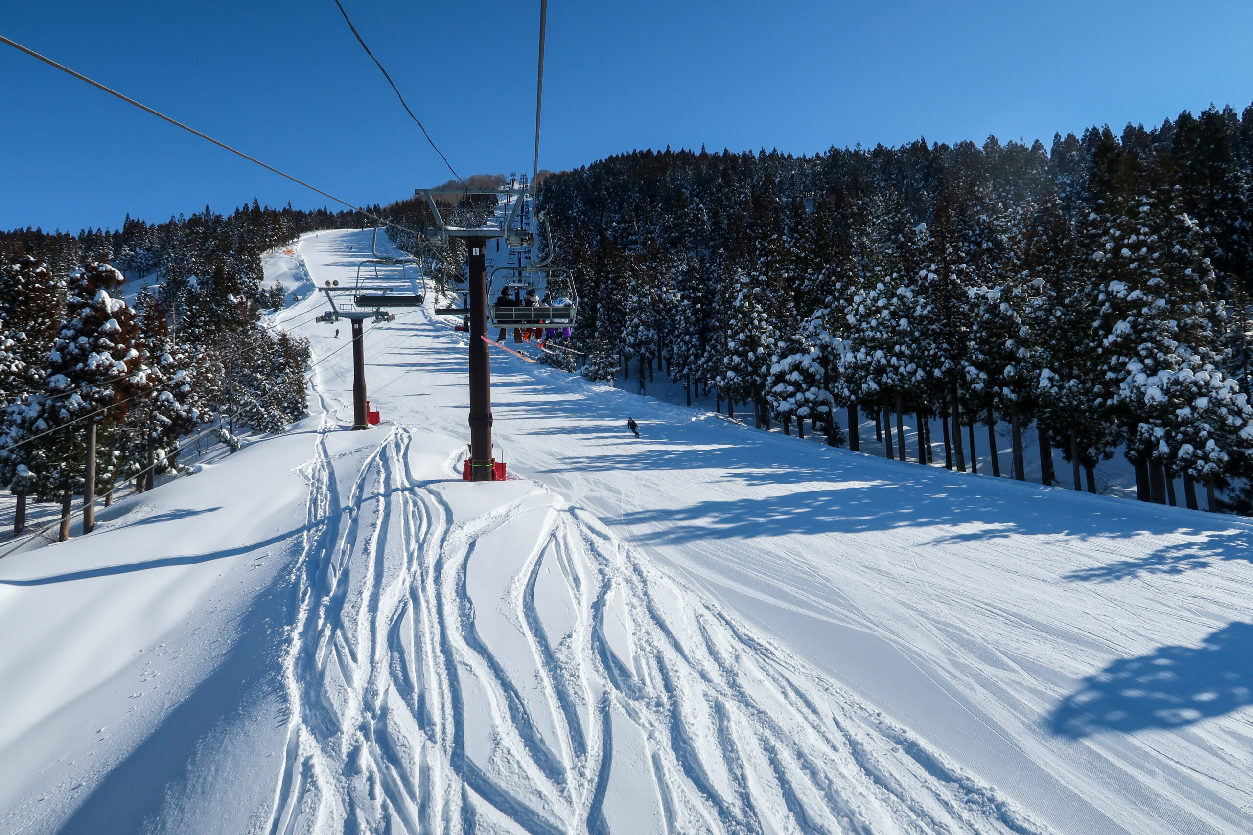 Snow-covered ski slope with a chairlift ascending through pine trees under a clear blue sky.