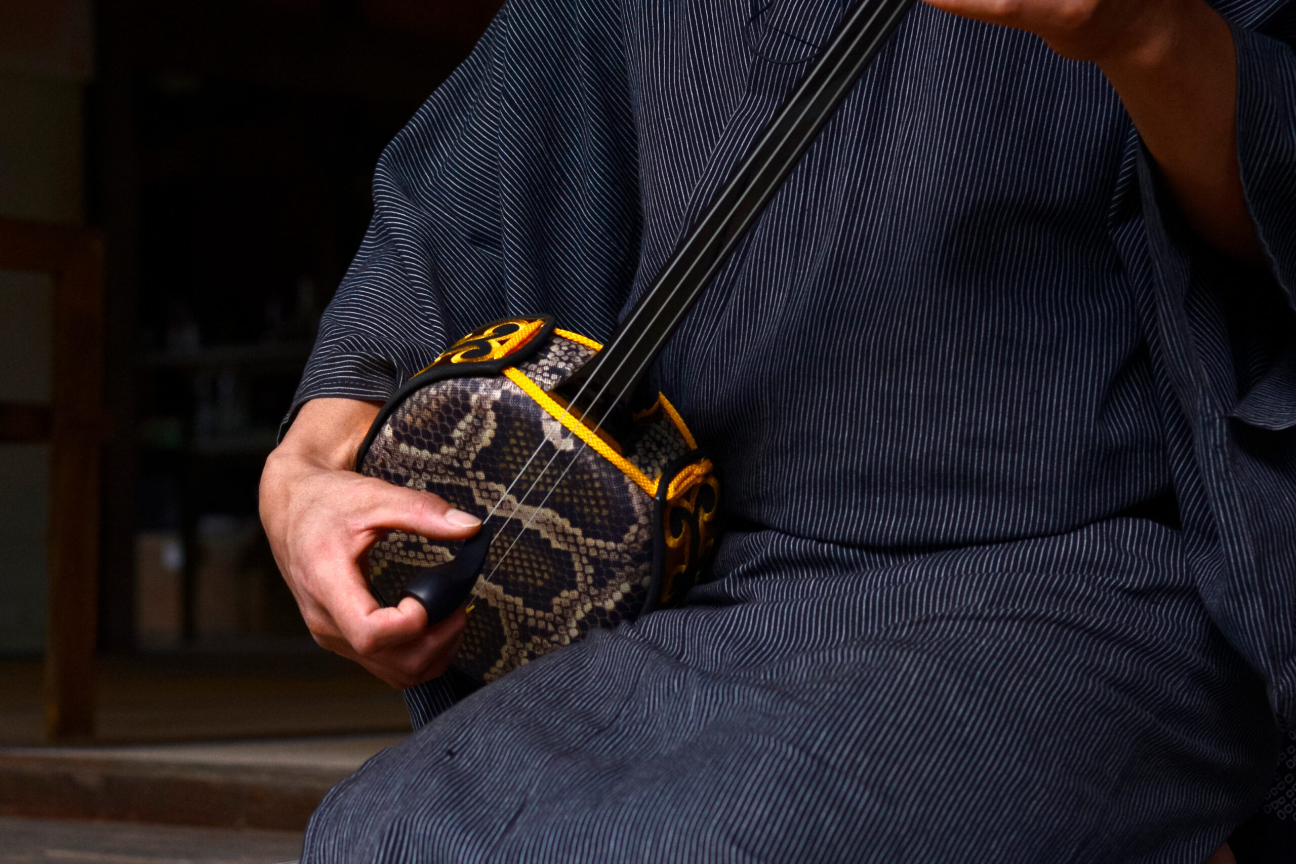 Person in a striped dark-blue robe plays a patterned, snake-skin string instrument, focusing on the fretboard and strings.
