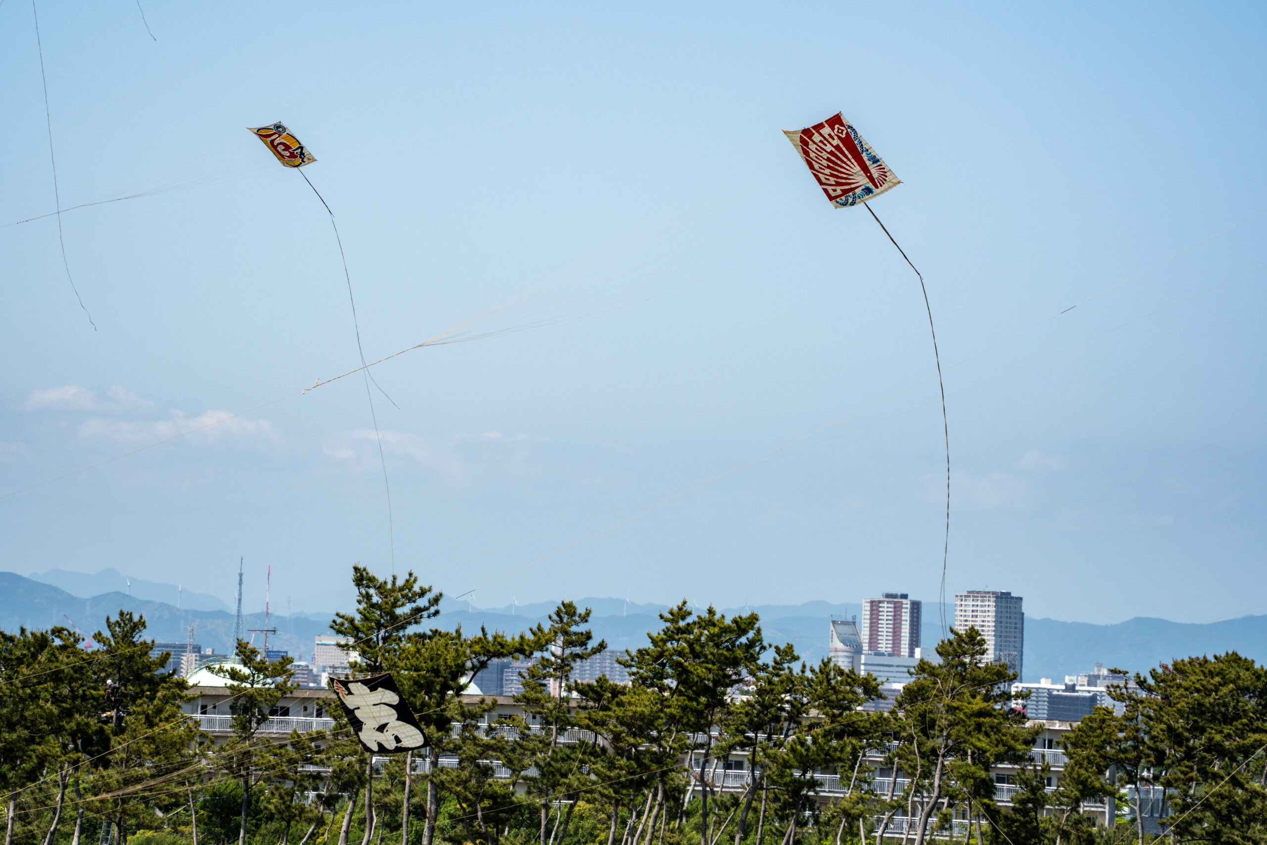 Two colorful kites soaring in a clear blue sky above a tree-lined cityscape with distant mountains and buildings below.