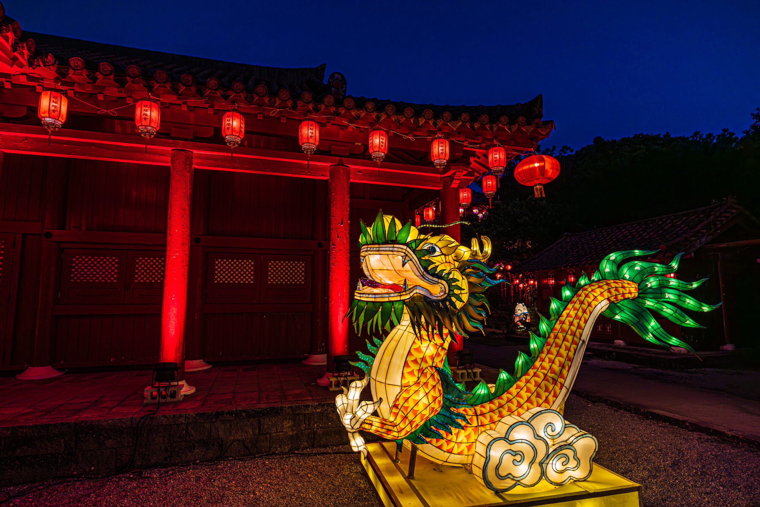 Red lanterns line a traditional wooden building at night, with a glowing dragon lantern sculpture in the foreground.
