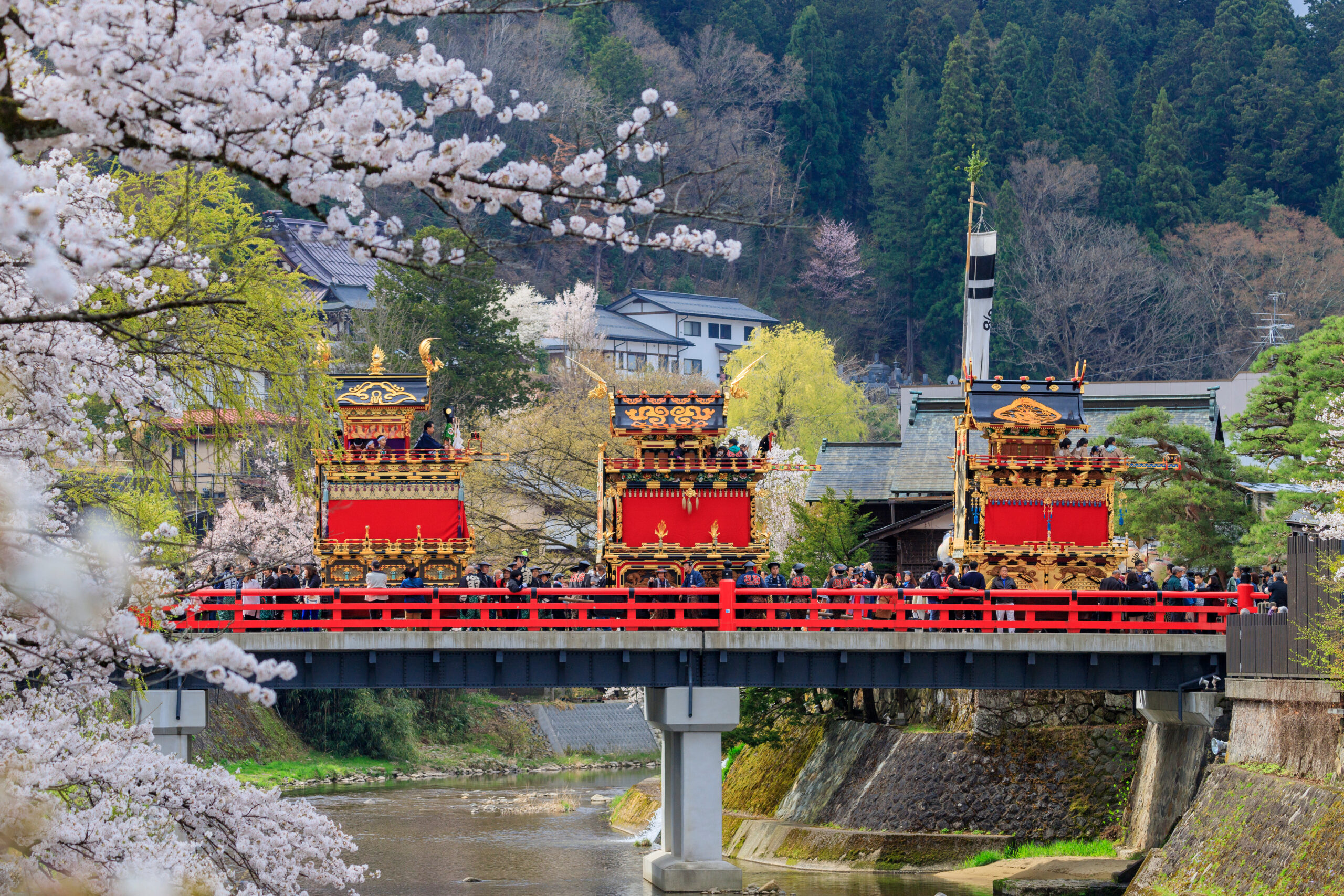 Ornate festival floats on a red bridge beneath blooming cherry blossoms with a river and forest in the background.