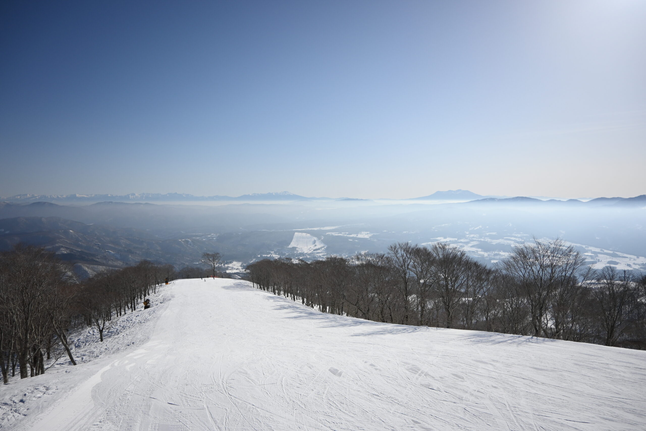 Snowy ski slope lined with leafless trees under a clear blue sky, distant snow-capped mountains on the horizon.