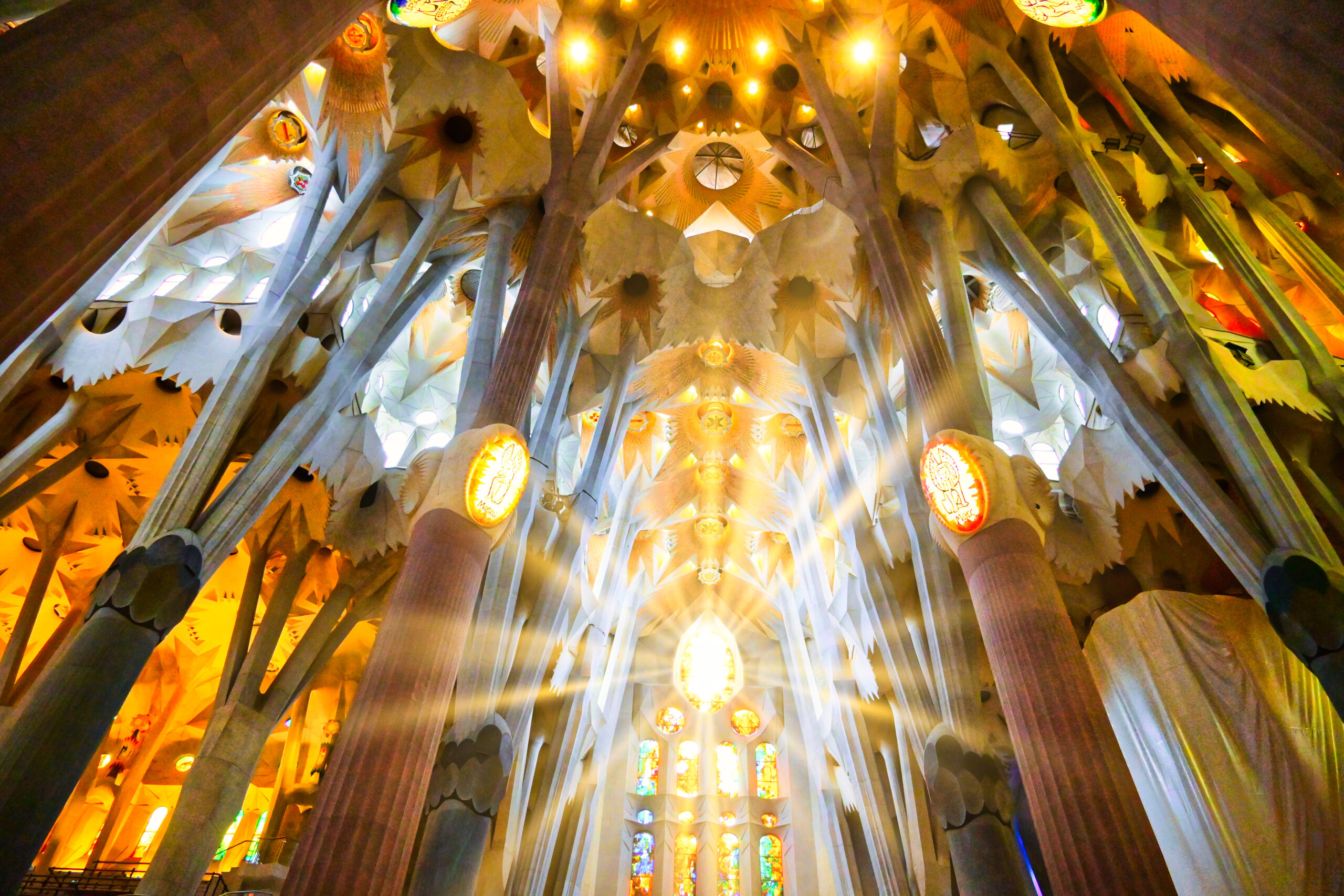 Interior of the Sagrada Família with tall tree-like columns and warm yellow light from stained glass windows in the nave.
