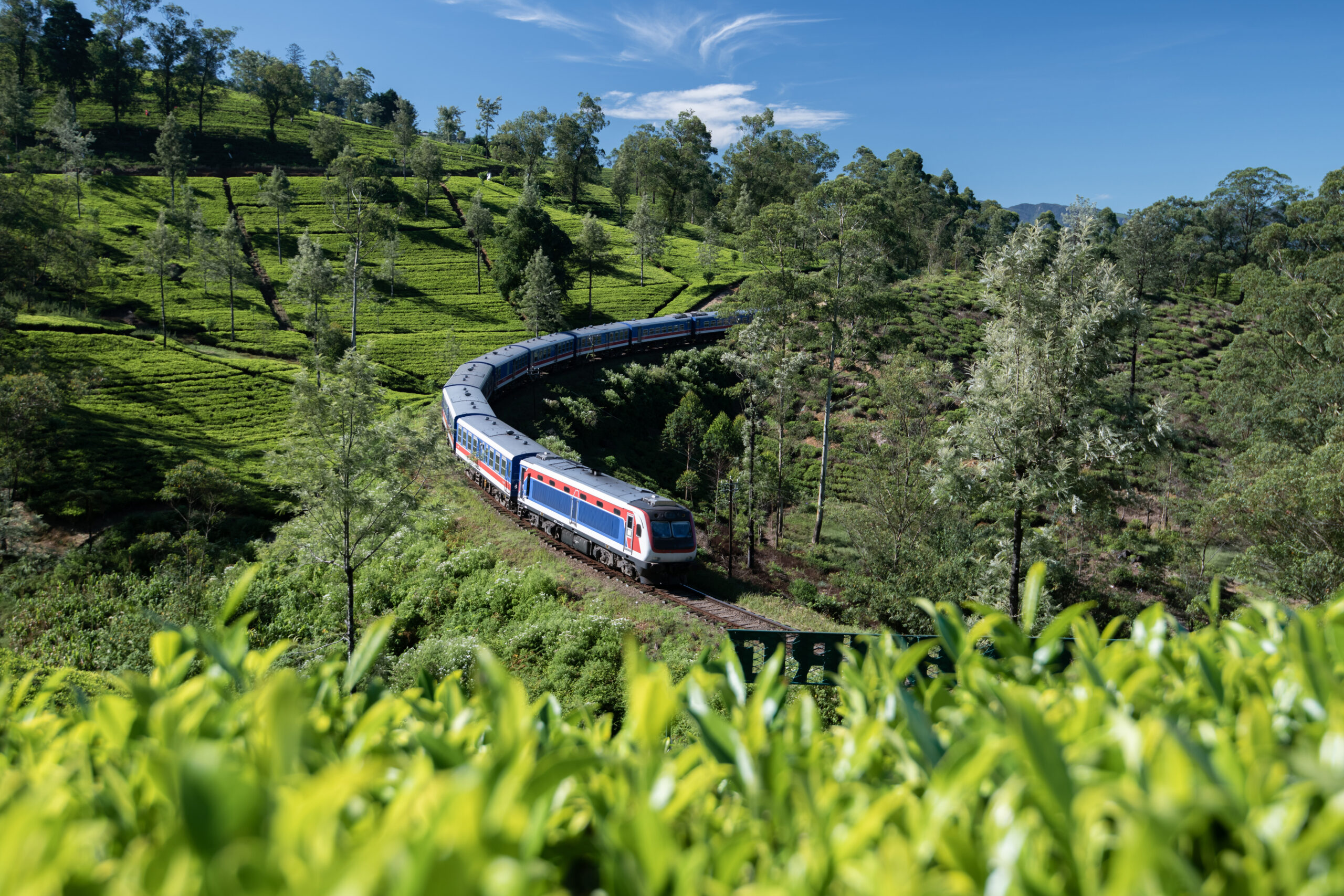 Passenger train curving through green hillside with tea terraces and trees under a bright blue sky.