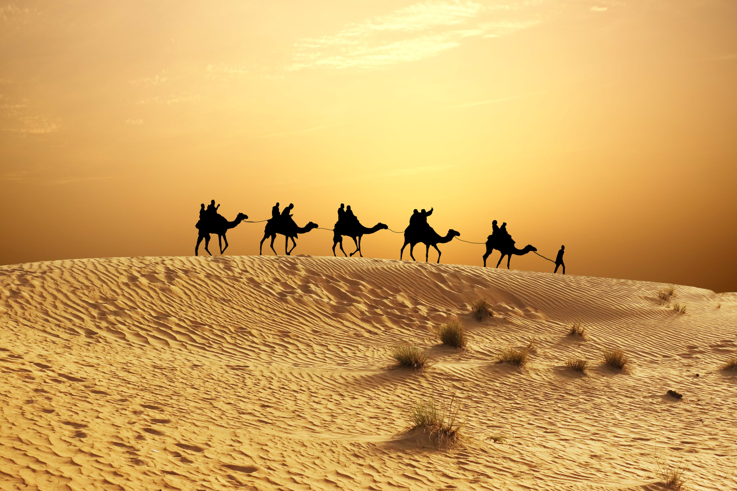 Silhouetted caravan of camels and riders walking across sandy desert at sunset.