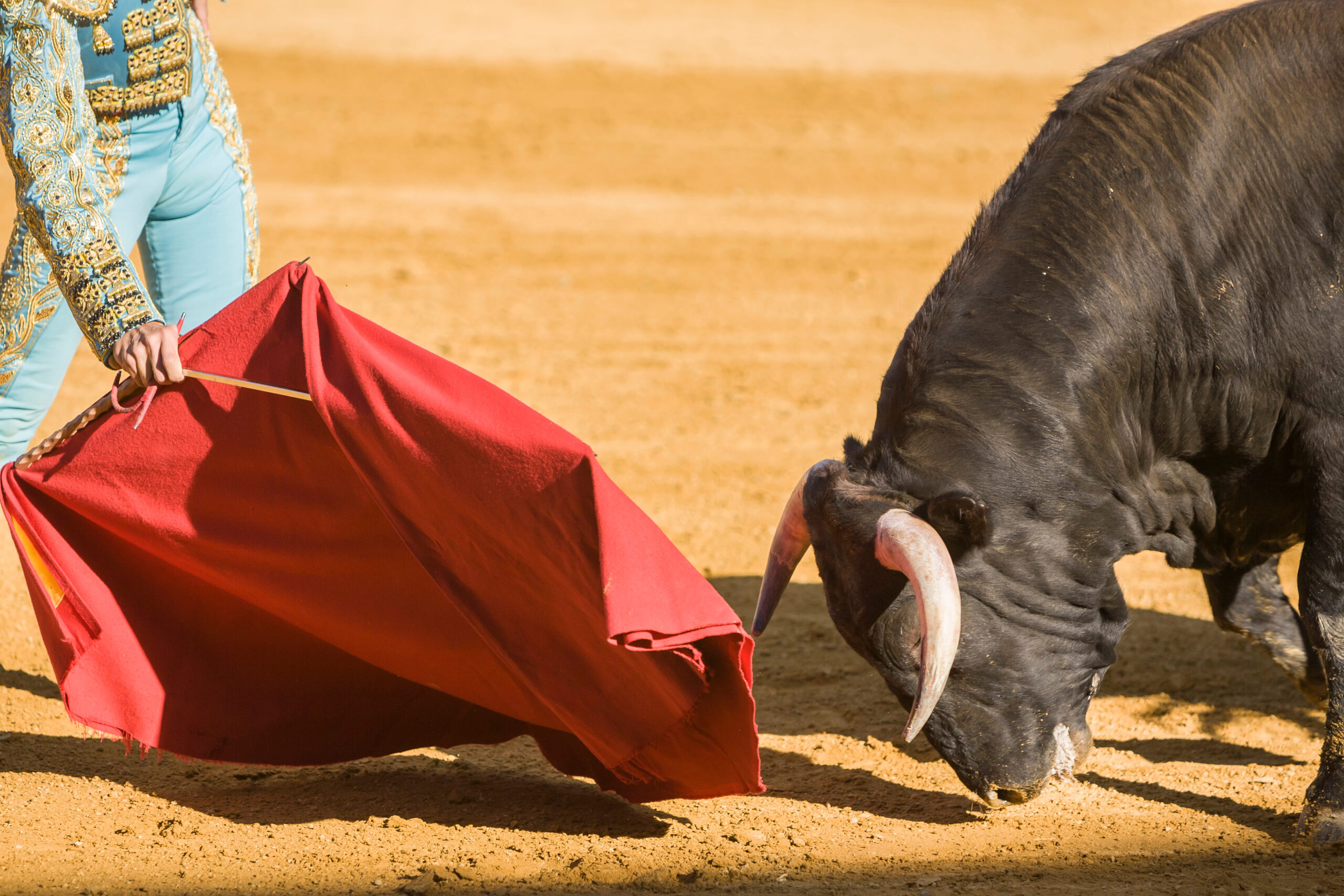 Matador in an ornate blue and gold suit waves a red cape as a bull charges in a sandy bullring.