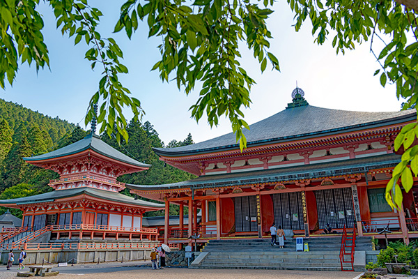 比叡山延暦寺 法華総持院東塔と阿弥陀堂（イメージ）
