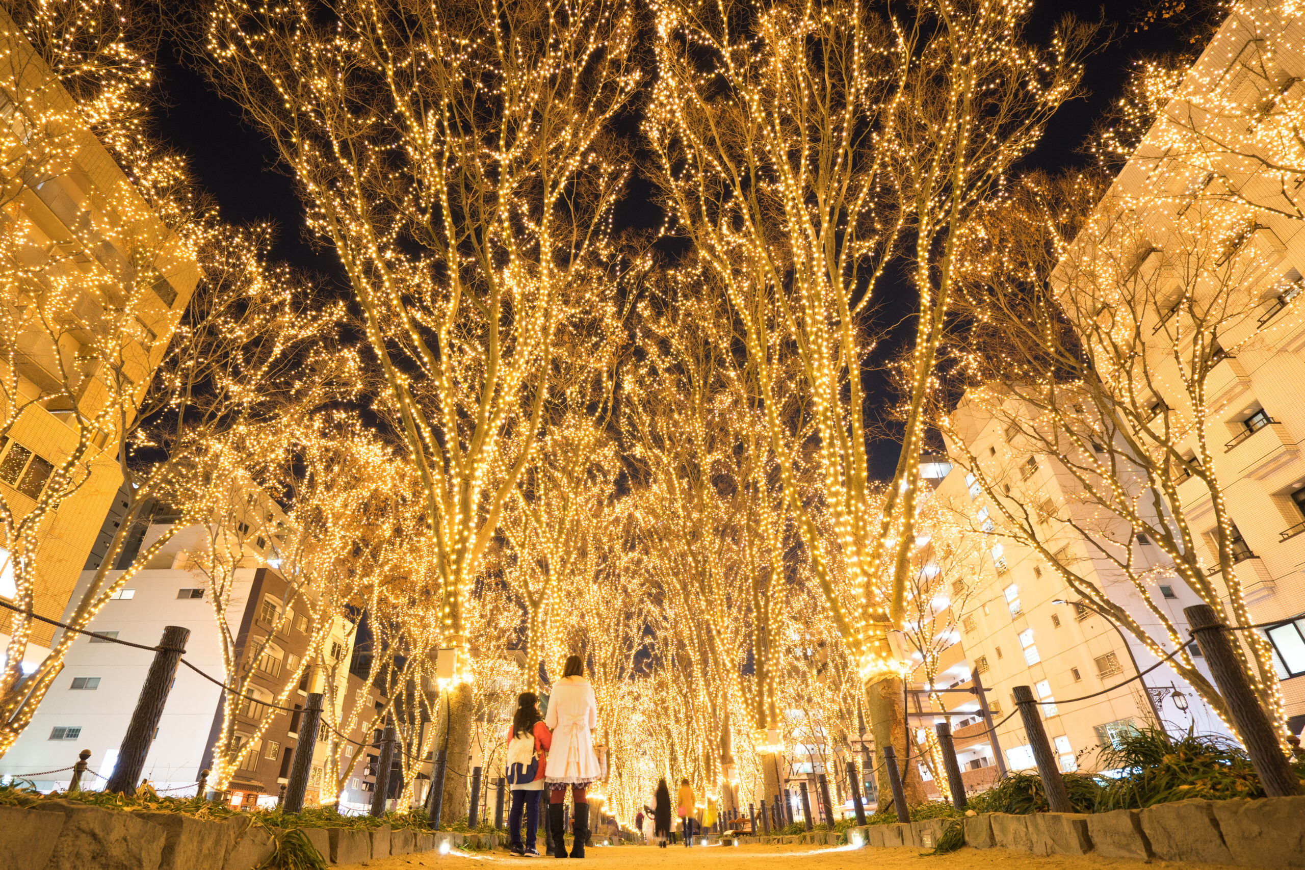 Night scene of a walkway lined with trees wrapped in warm yellow string lights, glowing against a dark sky with surrounding apartment buildings illuminated by the lights. People stand and admire the spectacle in the foreground.