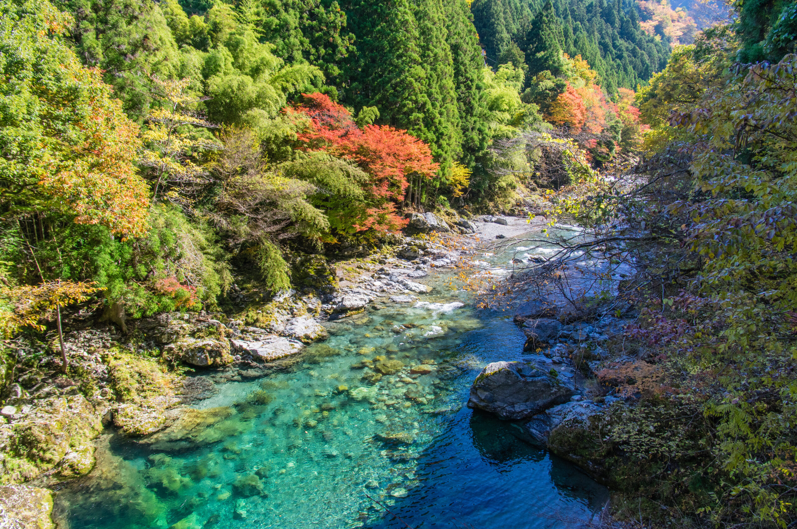 Clear turquoise river winds through rocky banks surrounded by dense green and autumn-colored trees.