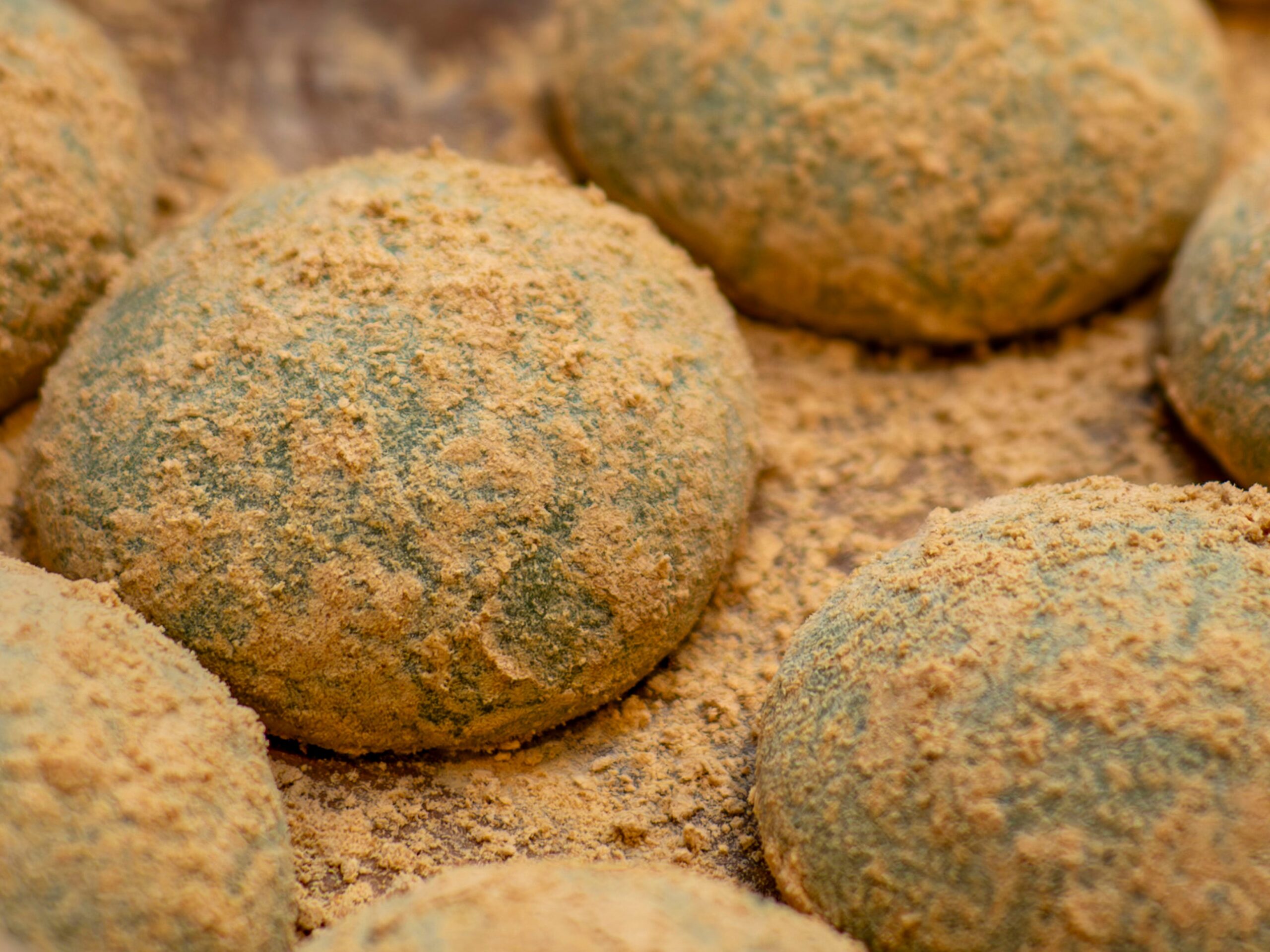 Close-up of rough rocks coated with tan dusty powder in warm light