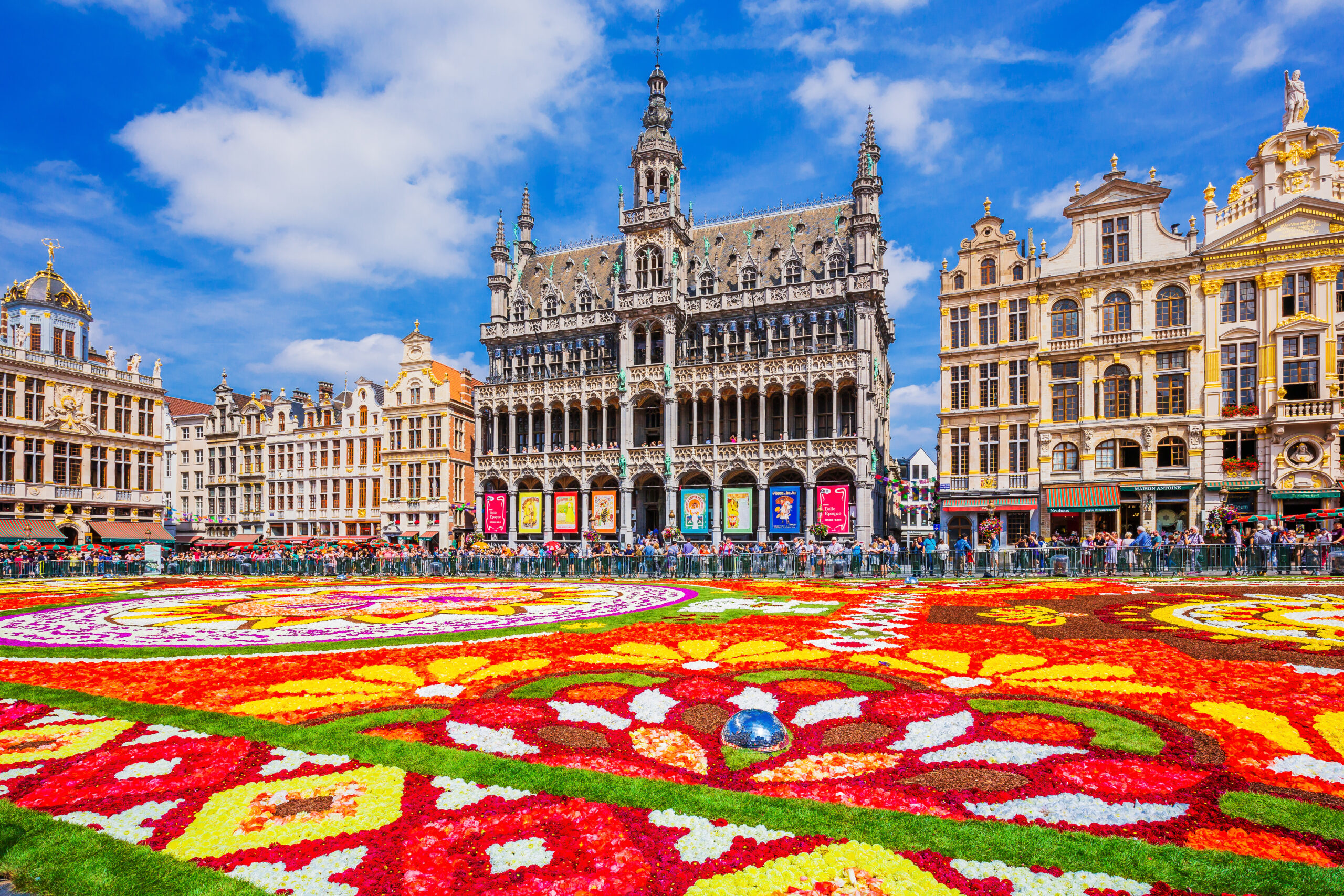 Antwerp's Grote Markt square with an ornate historic town hall and surrounding gilded façades, beneath a bright blue sky, crowded by visitors as a vibrant flower carpet covers the ground.