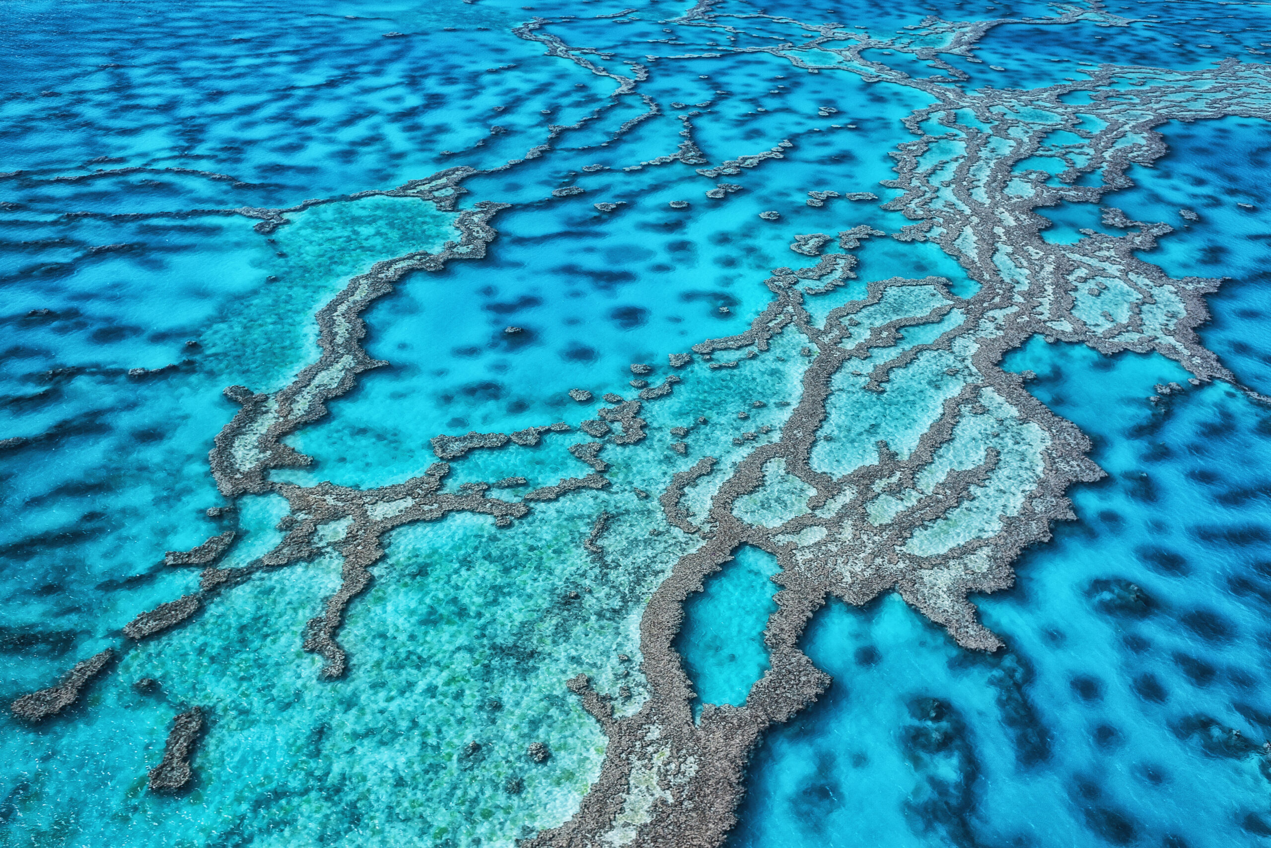 Aerial view of turquoise sea with winding coral reefs creating a maze-like pattern across the water.