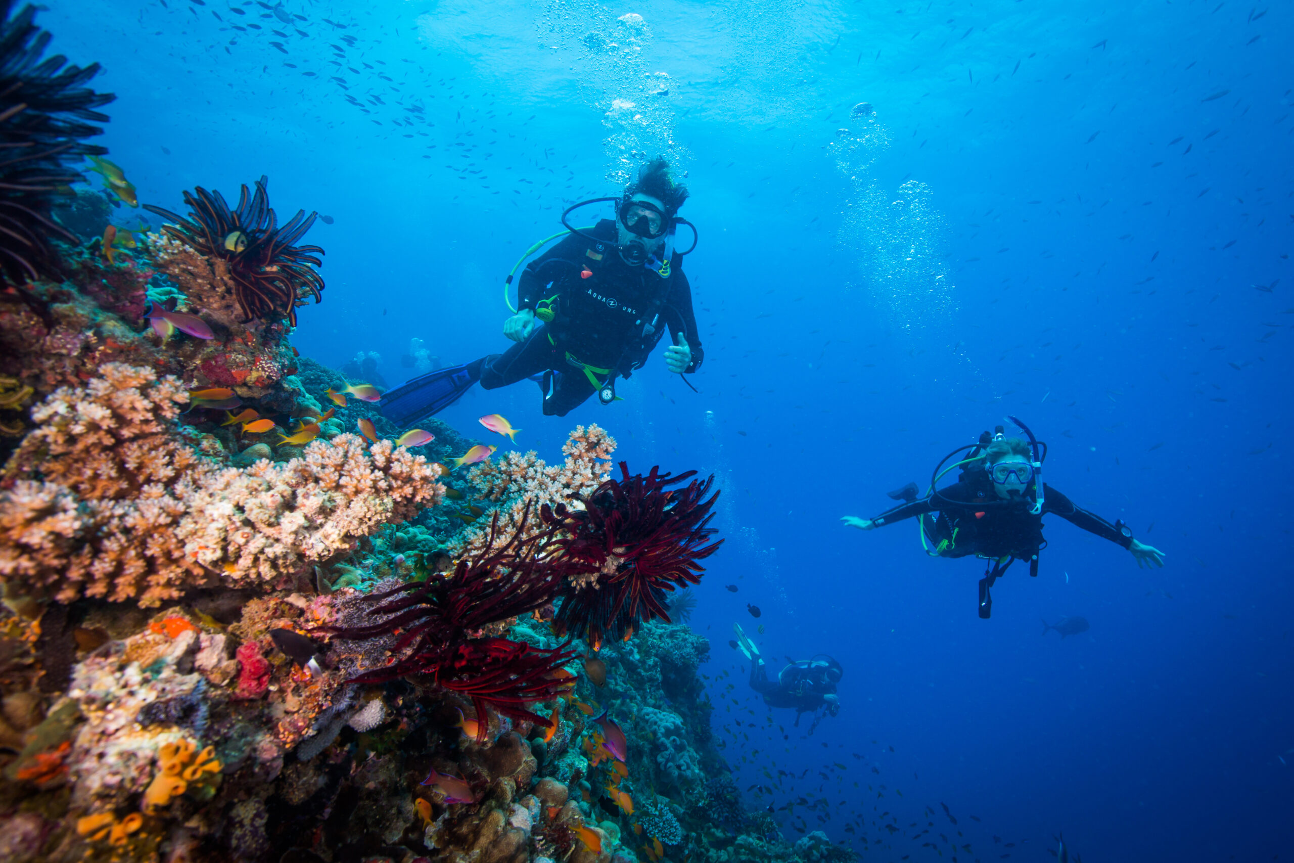 Two scuba divers explore a vibrant coral reef with colorful fish in clear blue water.