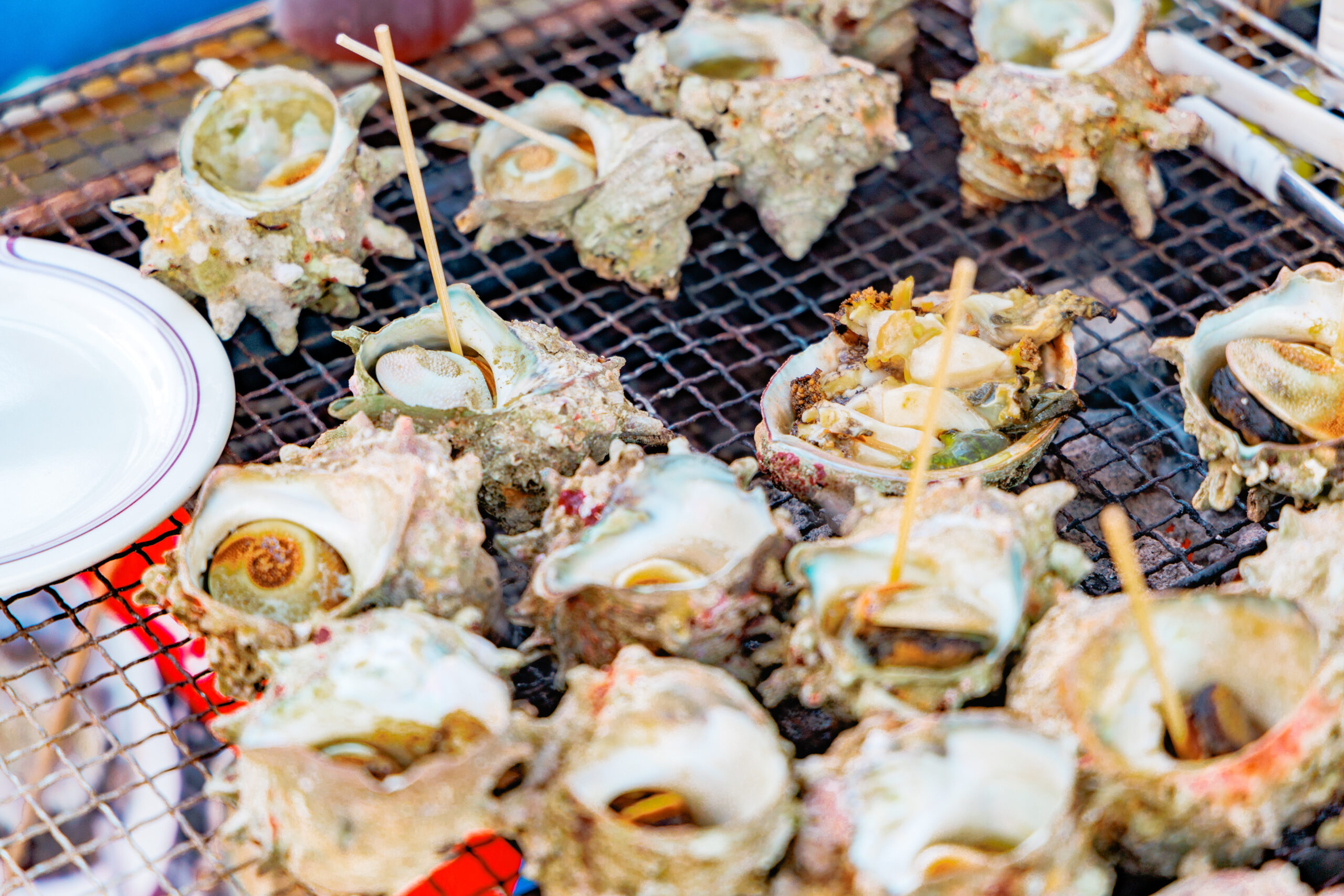 Opened oyster shells on a metal grill with wooden skewers strewn among them.