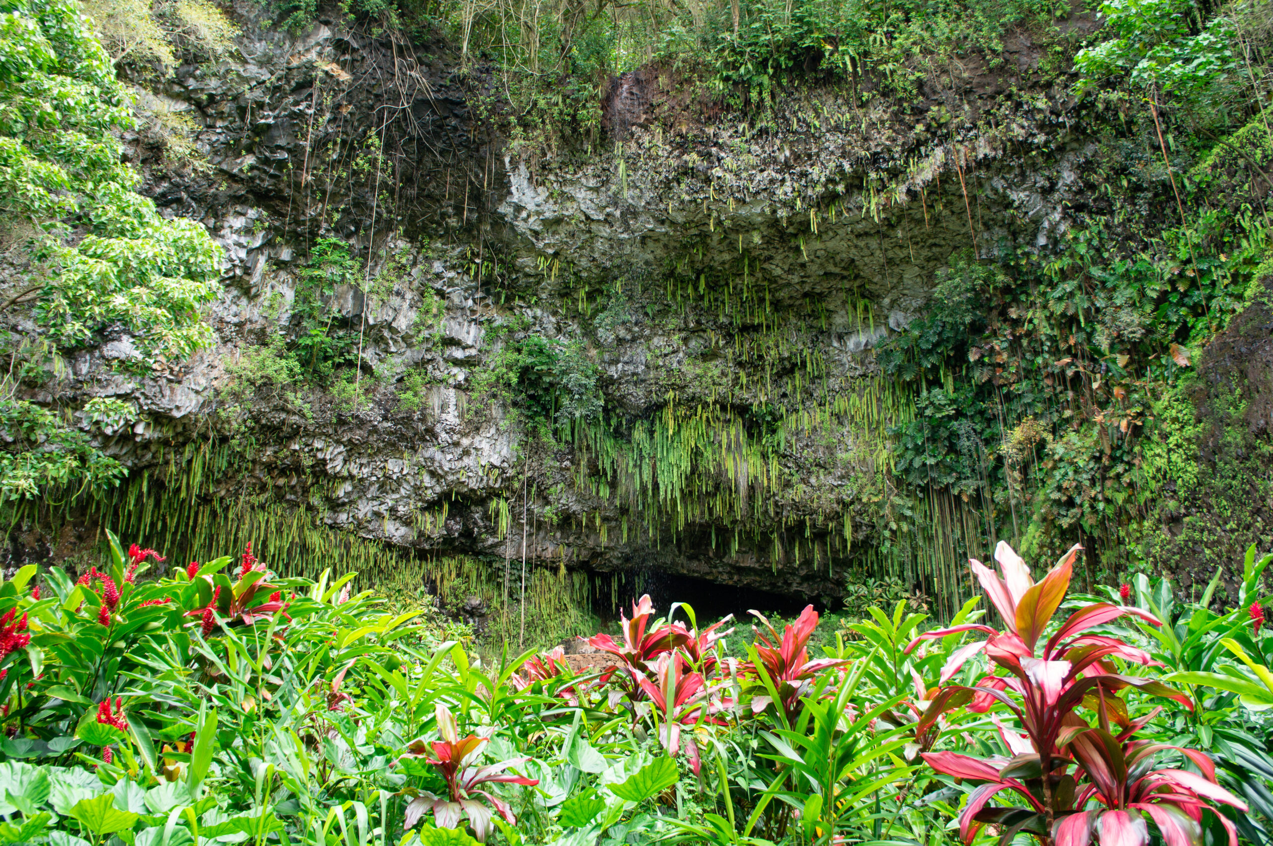 Lush tropical cave with hanging vines and stalactites, green foliage framing a dark cave entrance and water at the base.