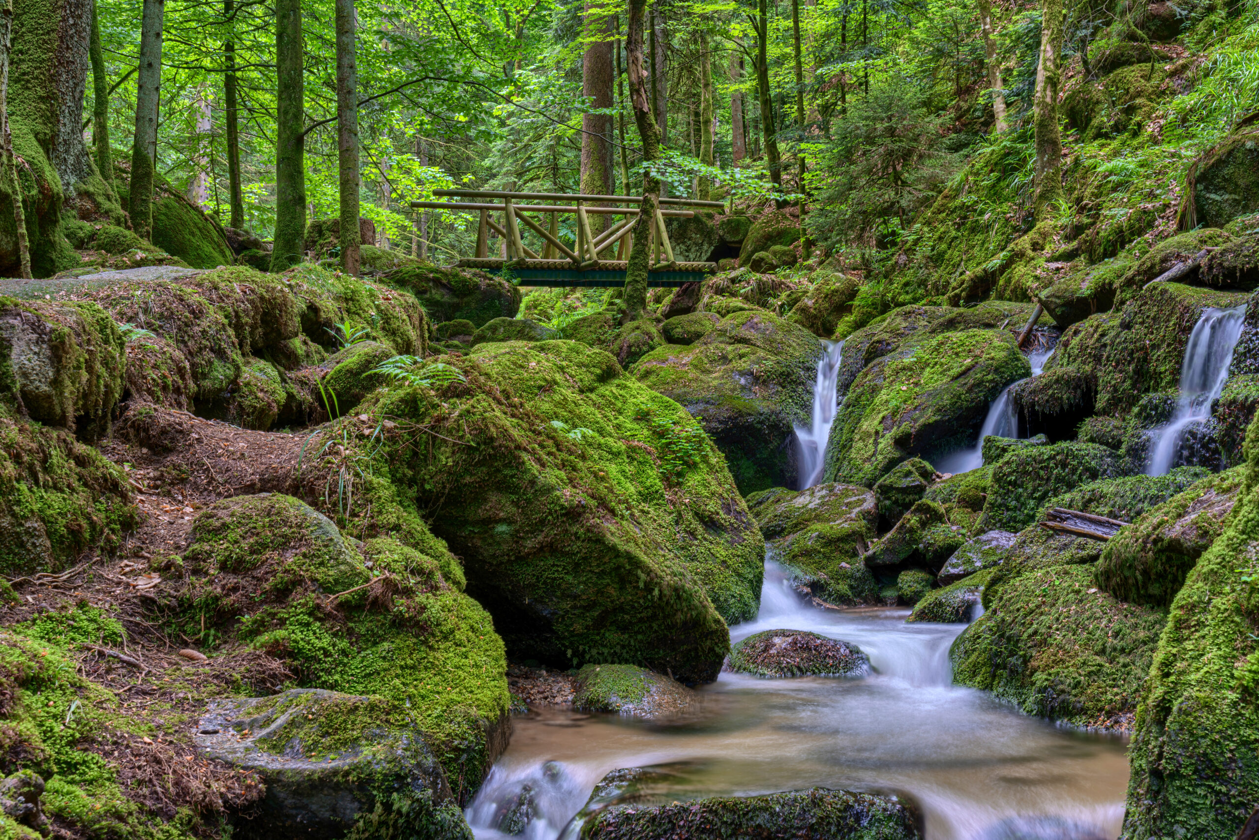 Mossy forest stream with a rustic wooden bridge spanning rocky, green-covered terrain