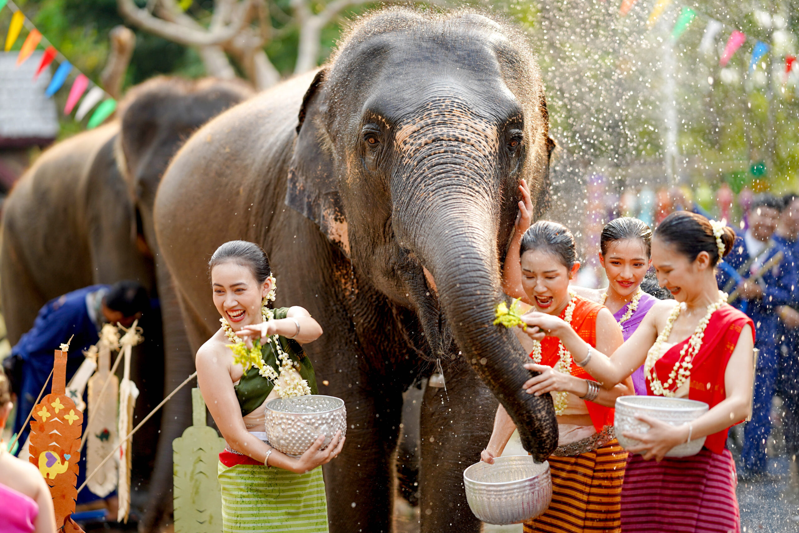 Dancers in colorful traditional dresses splash water on a large elephant at a festive celebration.