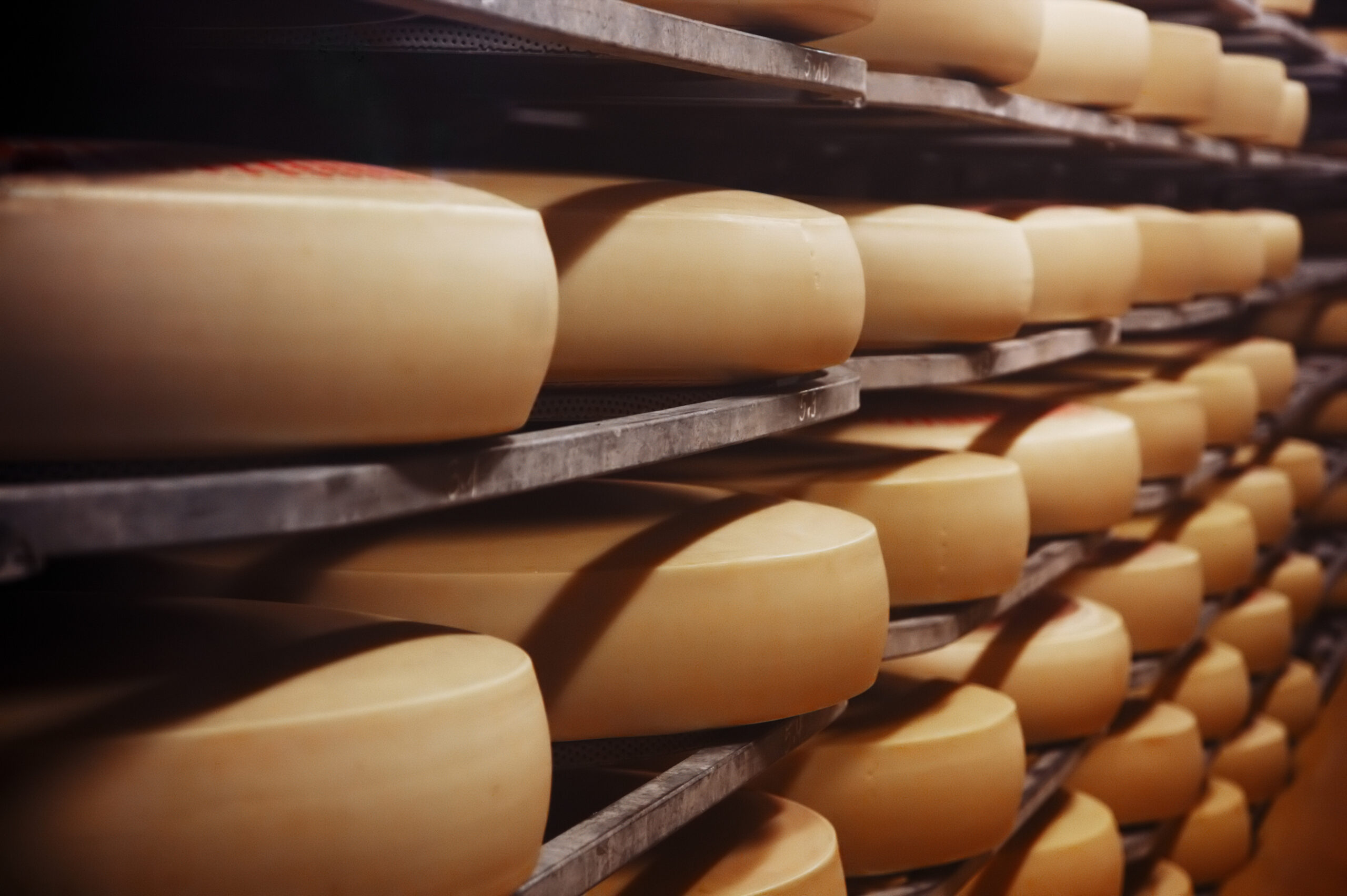 Rows of large circular cheese wheels aging on metal racks in a dairy cellar. (Informative)