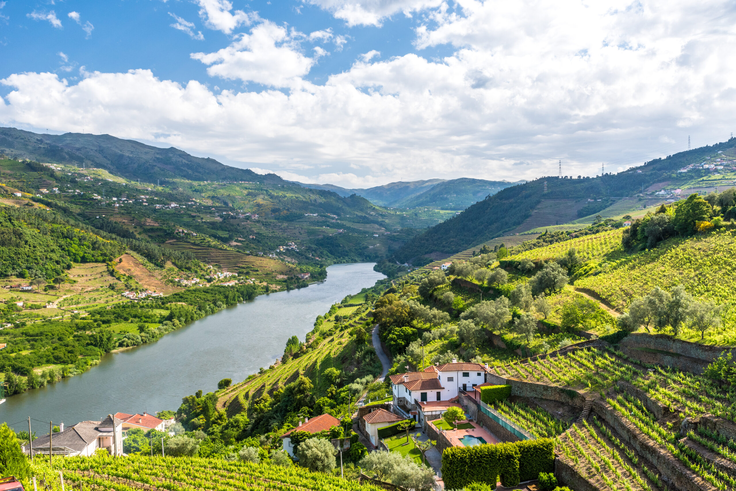 Terraced vineyards along hillsides beside a winding river under a blue sky.