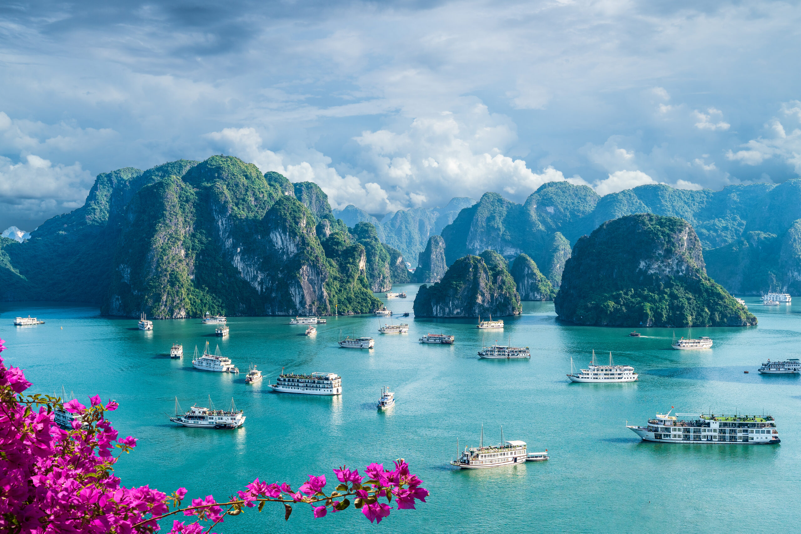 Turquoise water with limestone islands and numerous boats, pink flowers in the foreground under a blue sky with clouds.