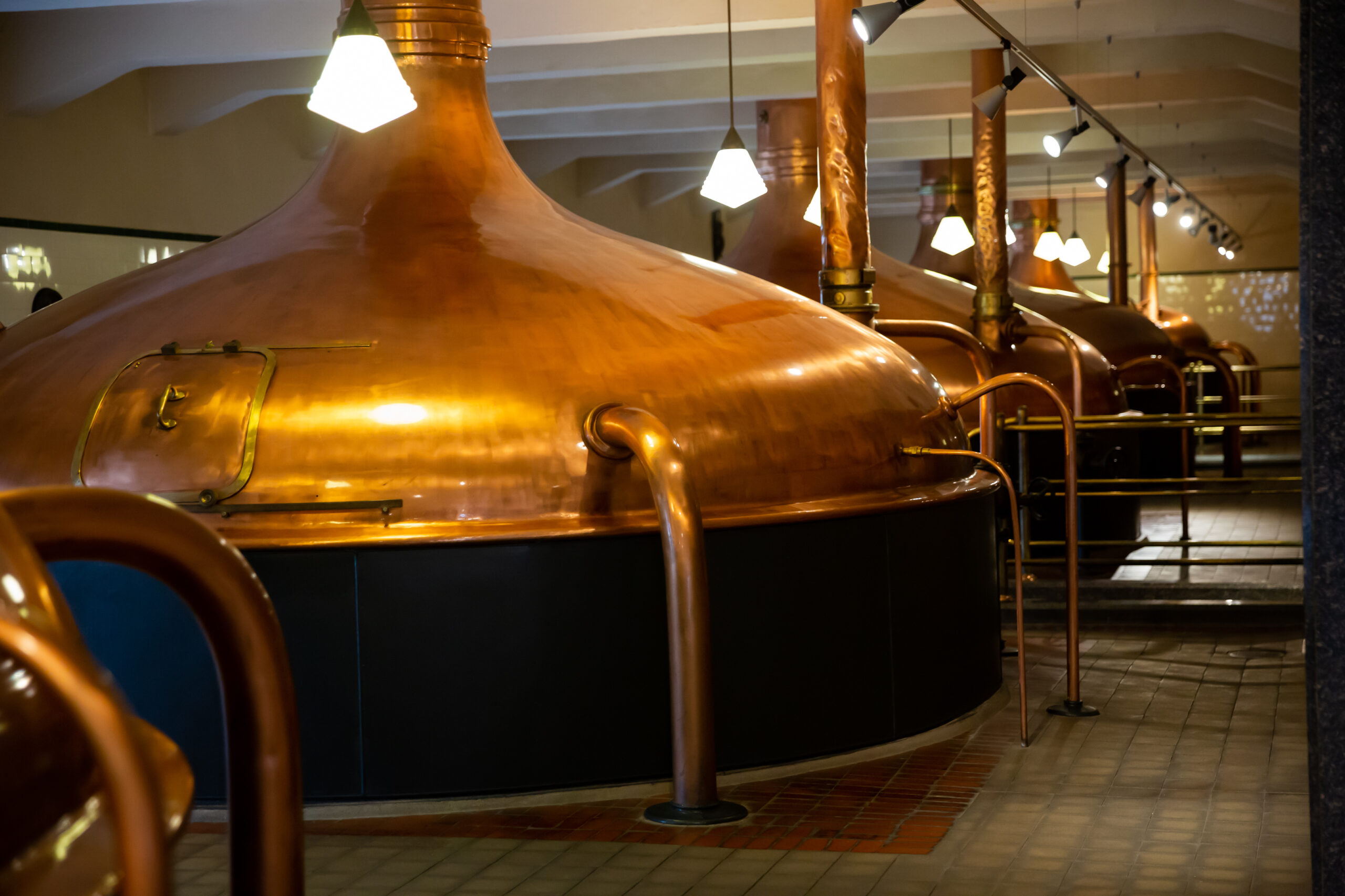Copper brewing kettles in a bright, industrial brewery with warm pendant lights and metal rails along the tanks