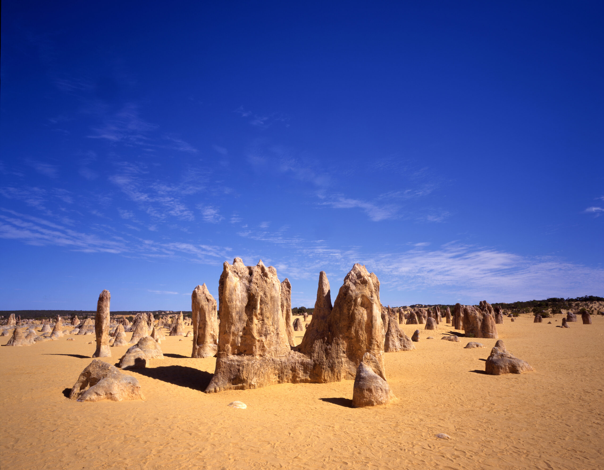 Tall limestone pinnacles rise from sandy desert under a bright blue sky, forming a striking desert landscape.