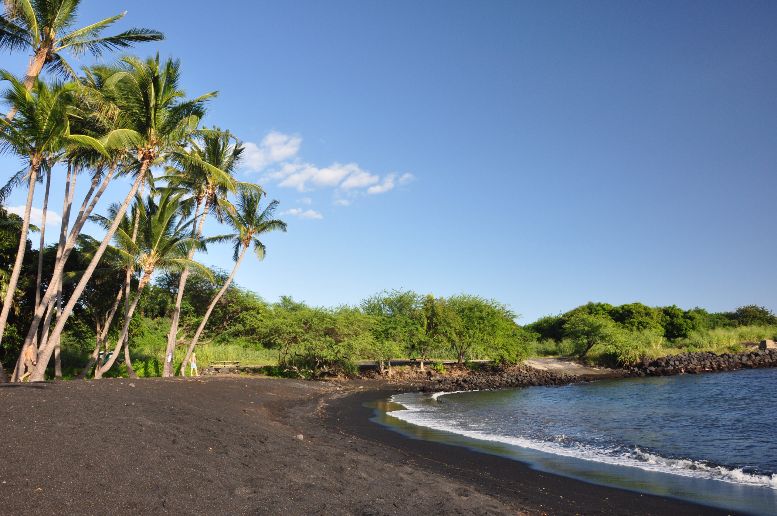 Black-sand beach with tall palm trees along the shore, a calm blue sea, and a clear sky commuter.