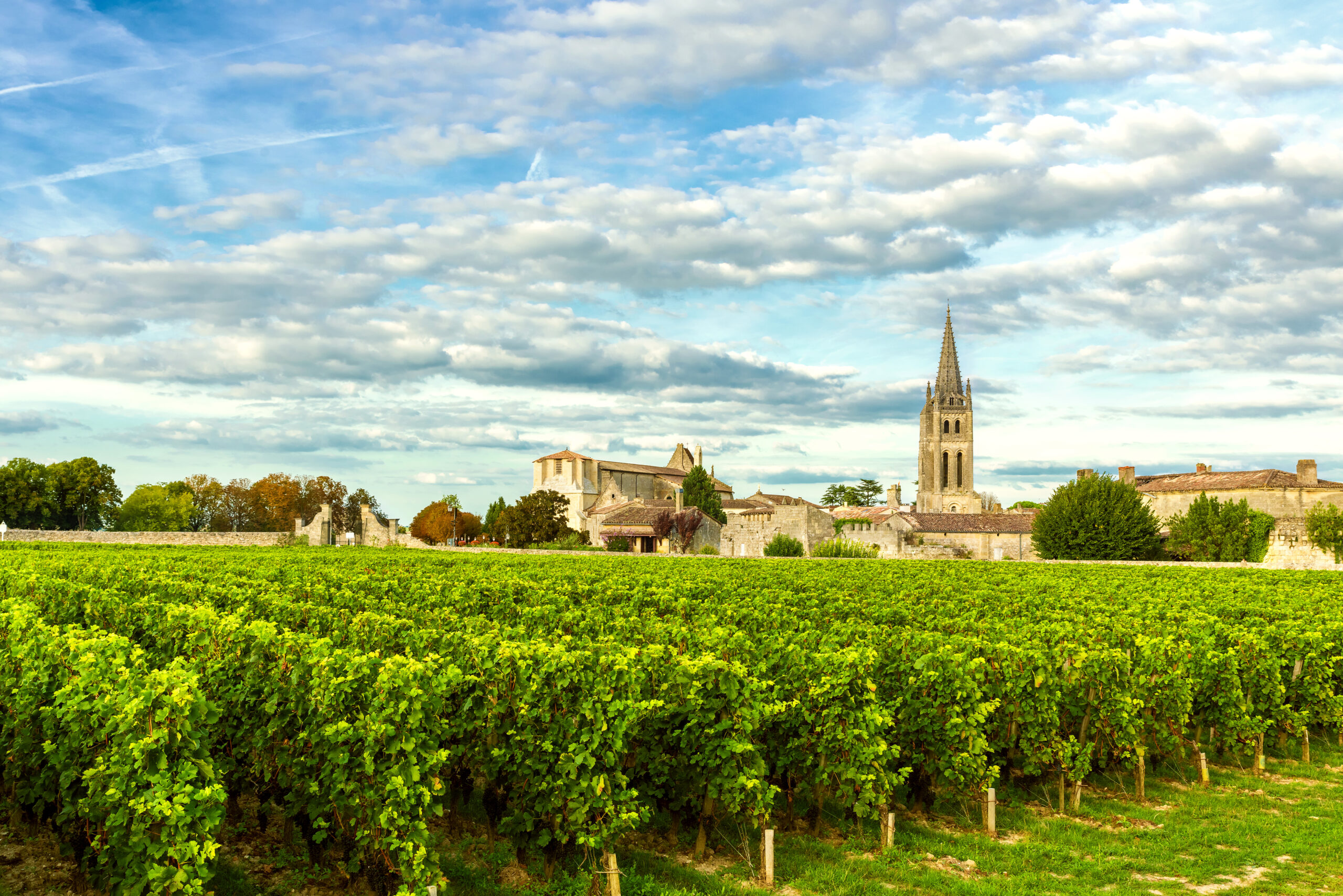 Vineyard in the foreground with a historic village and tall church tower under a blue, cloudy sky.