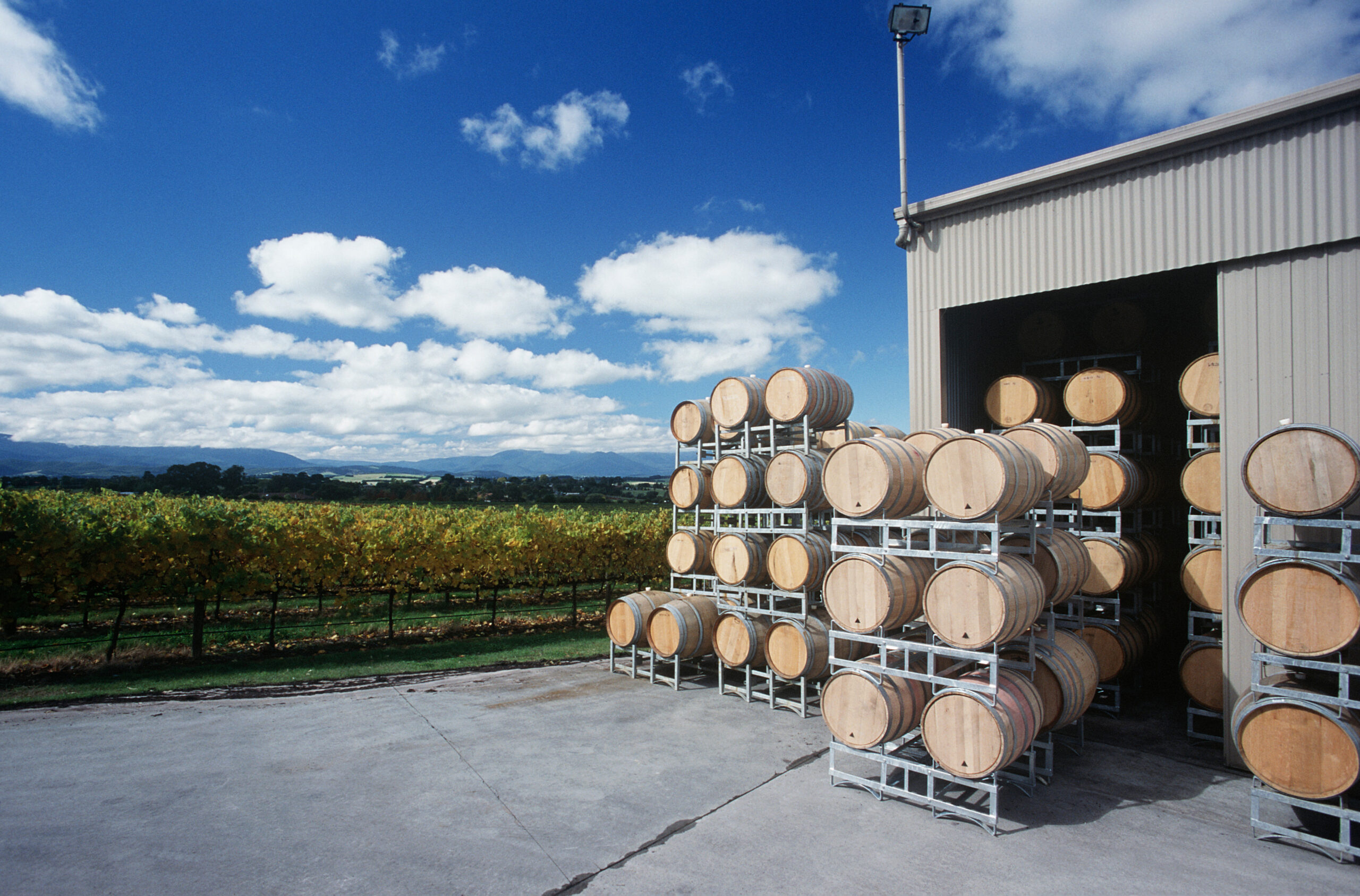 Rows of wooden wine barrels stacked on metal racks beside a gray warehouse under a bright blue sky in a vineyard setting.
