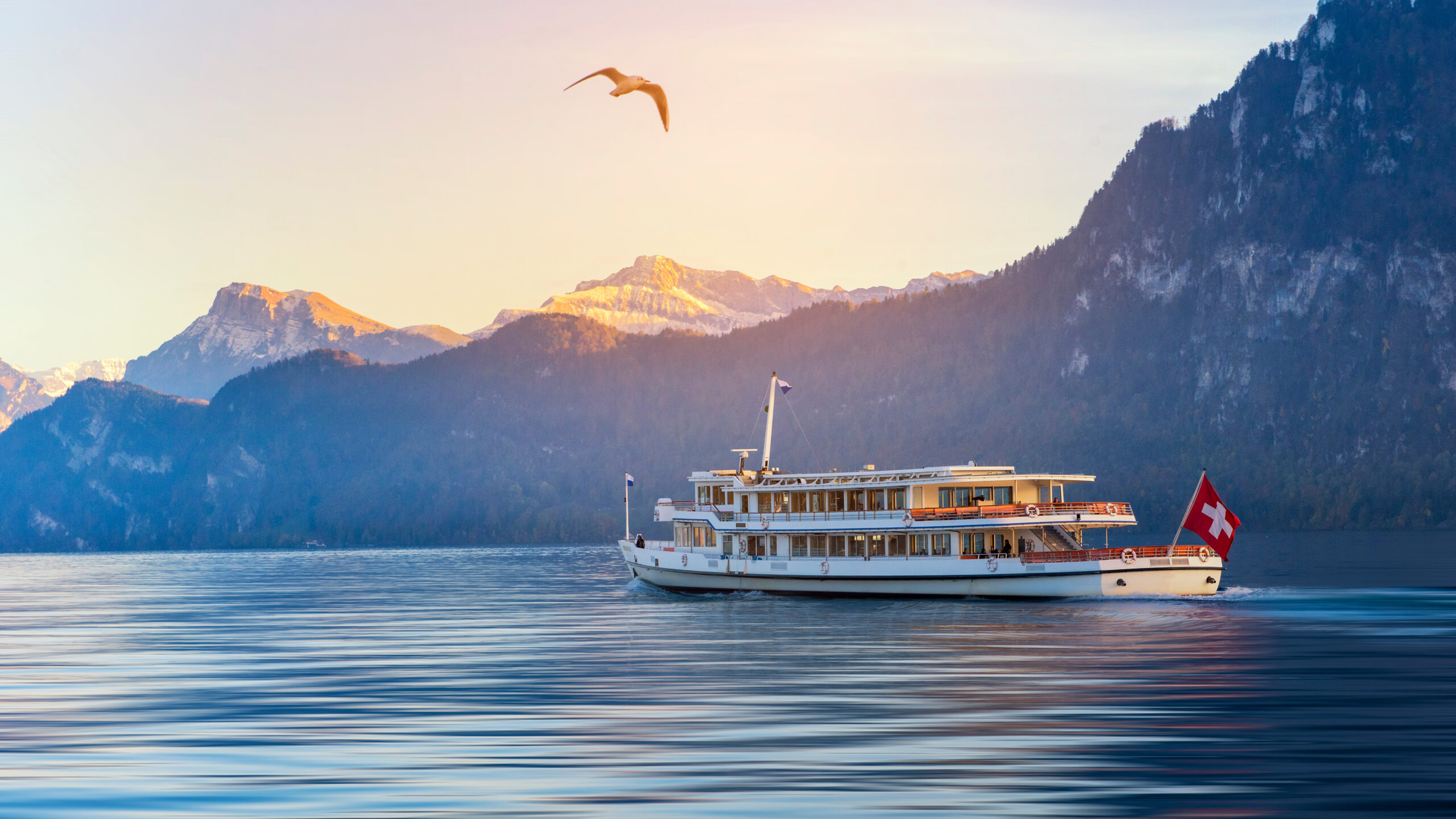 White passenger boat on a calm lake with snow-capped mountains in the background and a Swiss flag flying at the stern, sunset lighting.