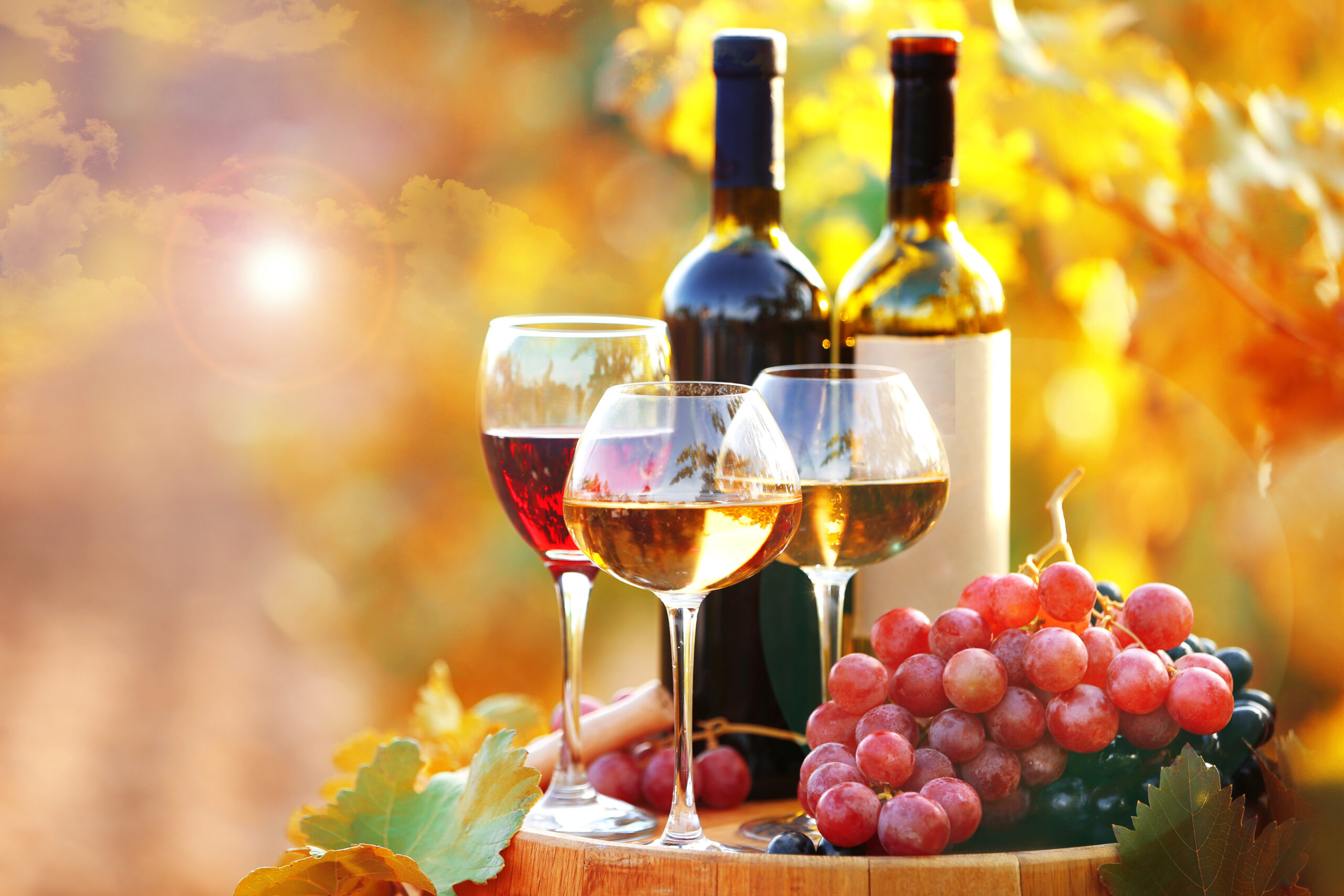 Wine bottles and glasses on a wooden barrel with red and white wine, grapes, and autumn leaves in a sunny vineyard setting