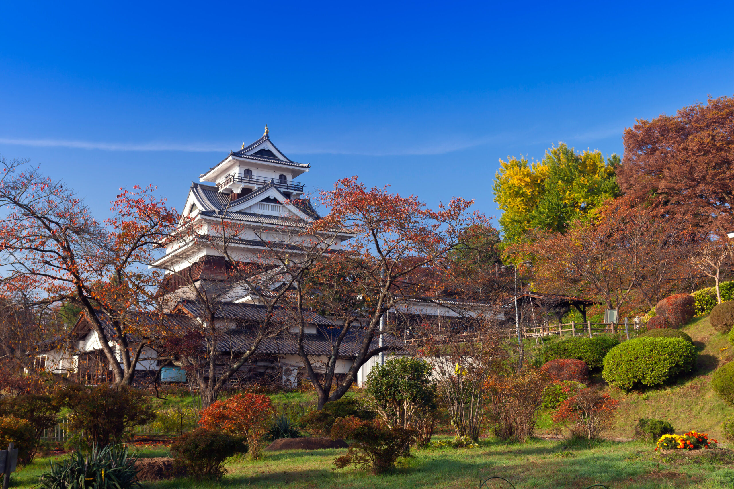 Traditional Japanese castle tower with curved roofs, surrounded by autumn-colored trees under a clear blue sky.