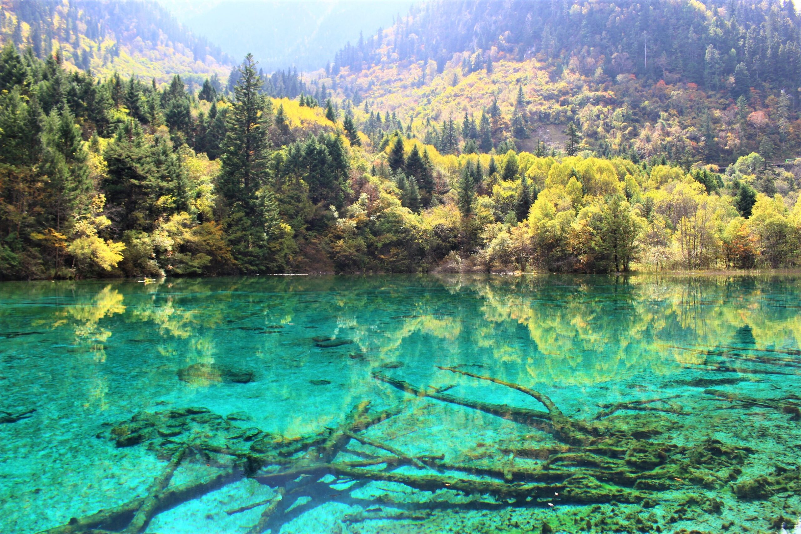 Turquoise lake reflecting a forested mountainside in autumn colors.