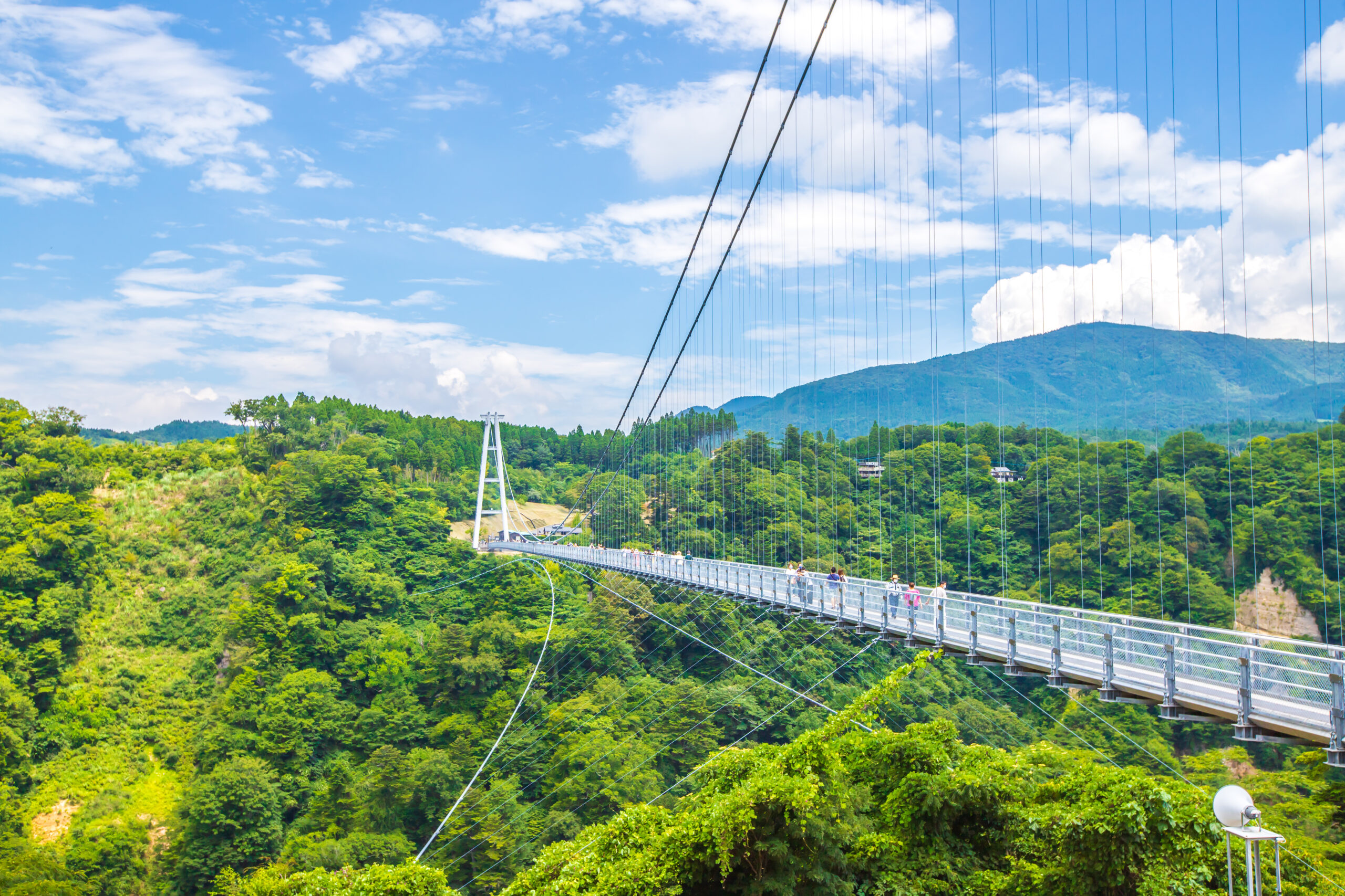 Pedestrian suspension bridge spanning a lush green valley under a blue sky with hills behind it.