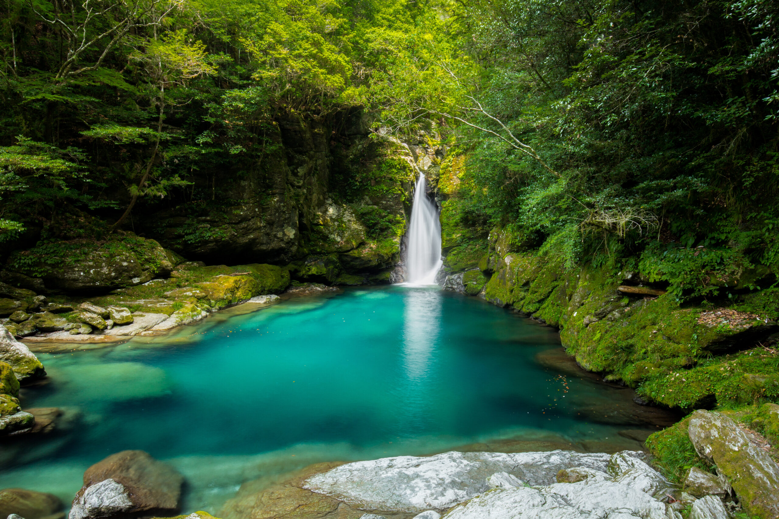 Turquoise pool with a small waterfall surrounded by mossy rocks and dense green forest.