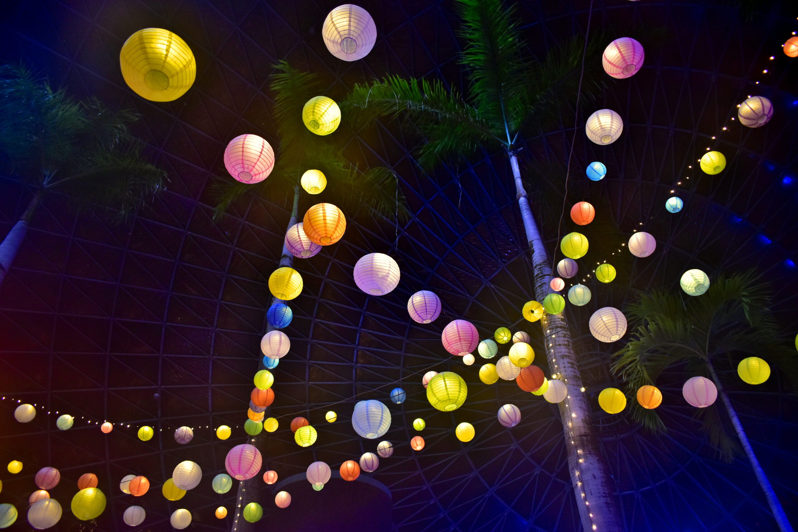 Colorful paper lanterns hanging from a dark domed ceiling with palm trees below in an indoor atrium. The scene is lit by warm, colorful lights.",