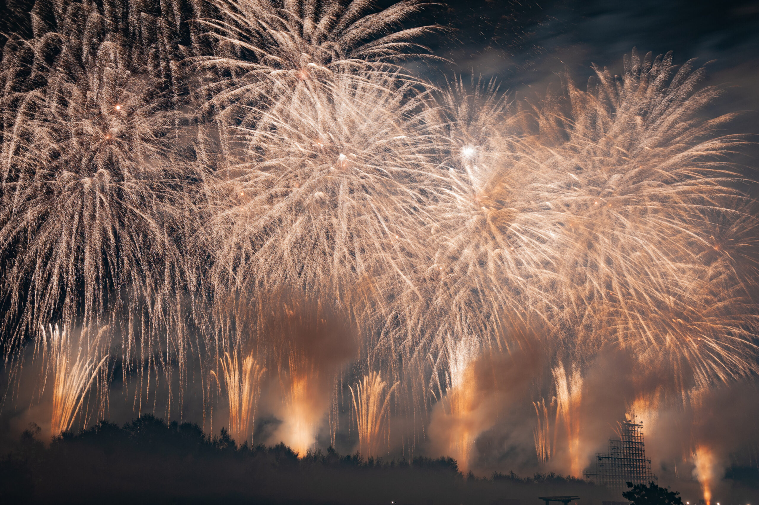Nighttime fireworks exploding in the sky above a dark city skyline and treeline.