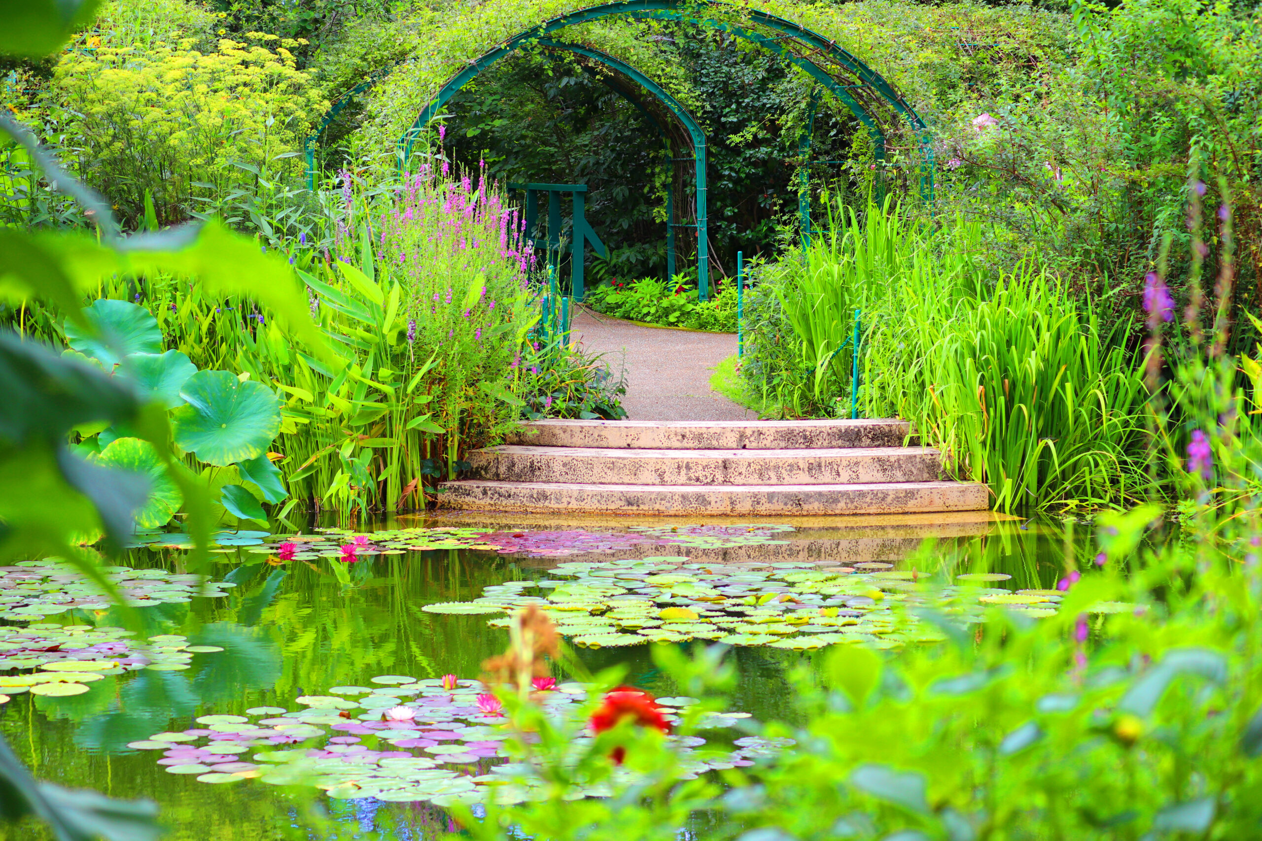 Green metal archway over a winding garden path surrounded by tall plants and colorful flowers, leading to a lily-pad pond.
