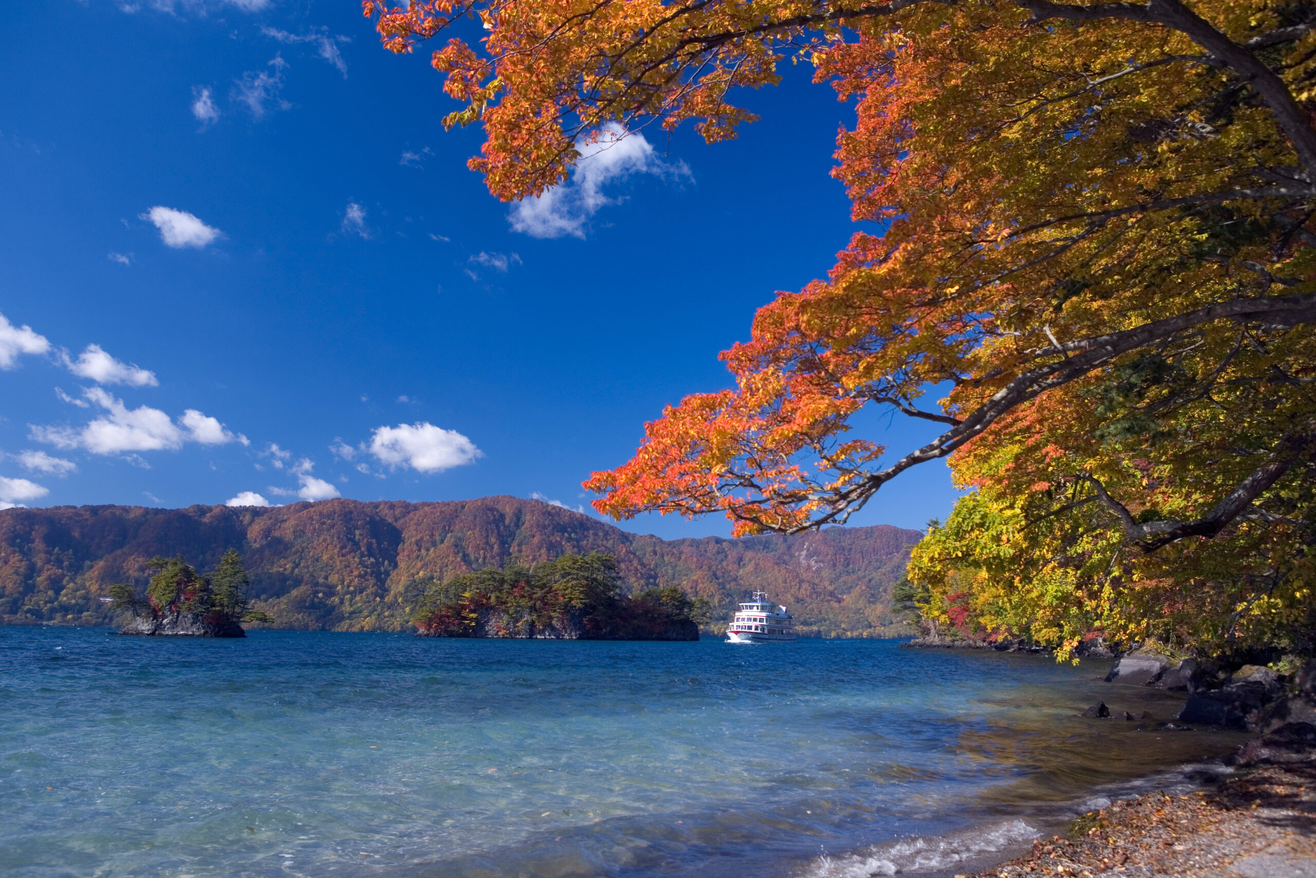 Autumn trees with orange leaves over a blue lake and a white boat in the distance, mountains in the background